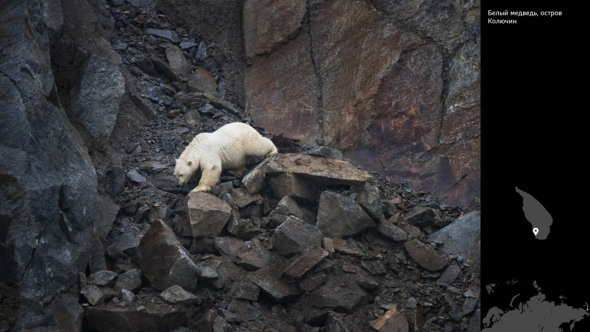 Проект «Архипелаги высоких широт». Петр Ушанов — фотограф