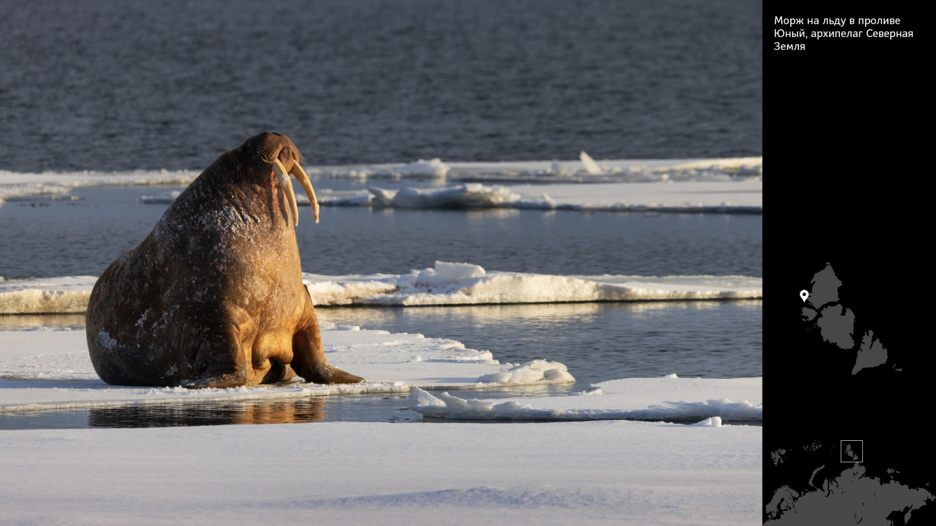 Проект «Архипелаги высоких широт». Петр Ушанов — фотограф