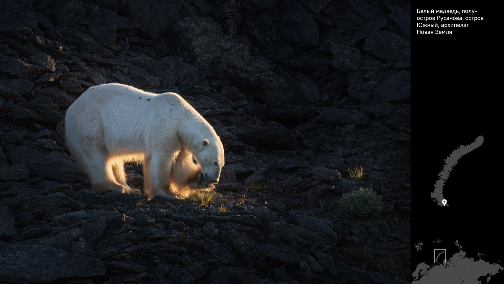 Проект «Архипелаги высоких широт». Петр Ушанов — фотограф