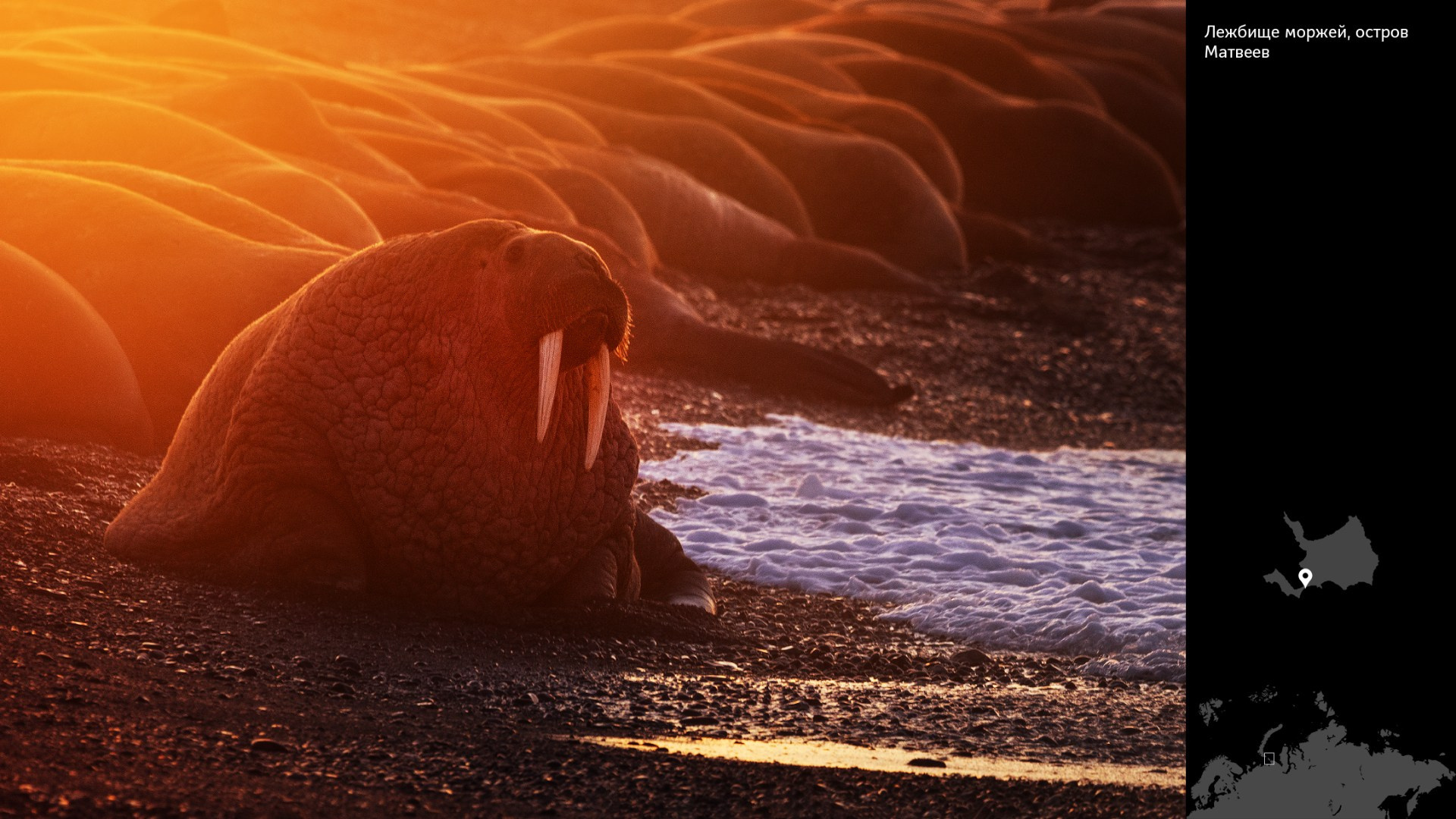 Проект «Архипелаги высоких широт». Петр Ушанов — фотограф