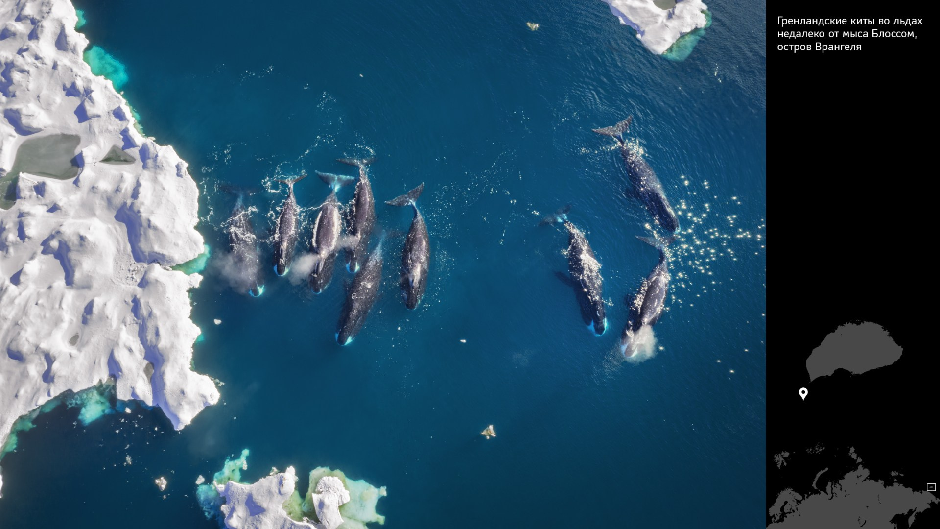 Проект «Архипелаги высоких широт». Петр Ушанов — фотограф