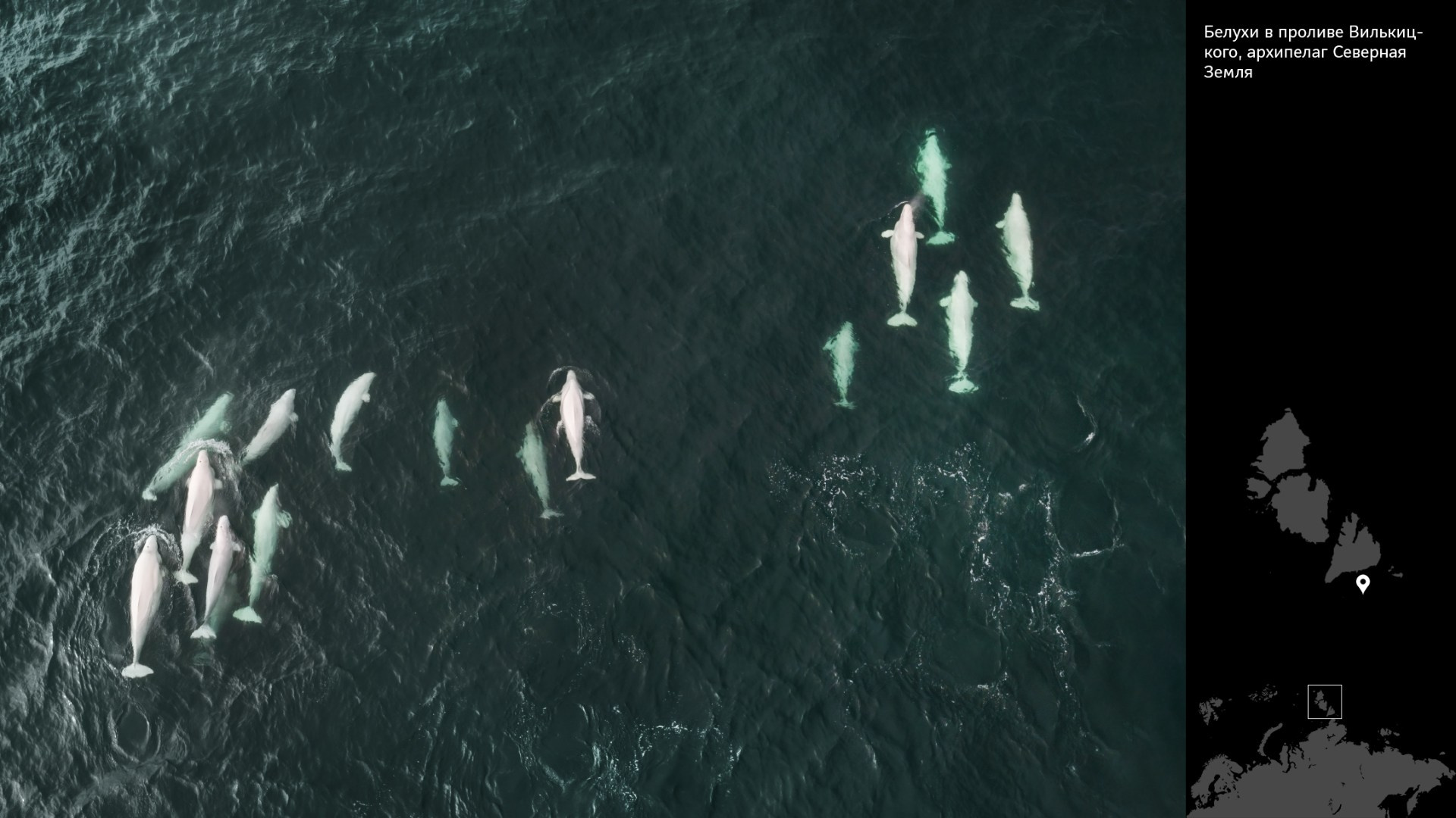 Проект «Архипелаги высоких широт». Петр Ушанов — фотограф