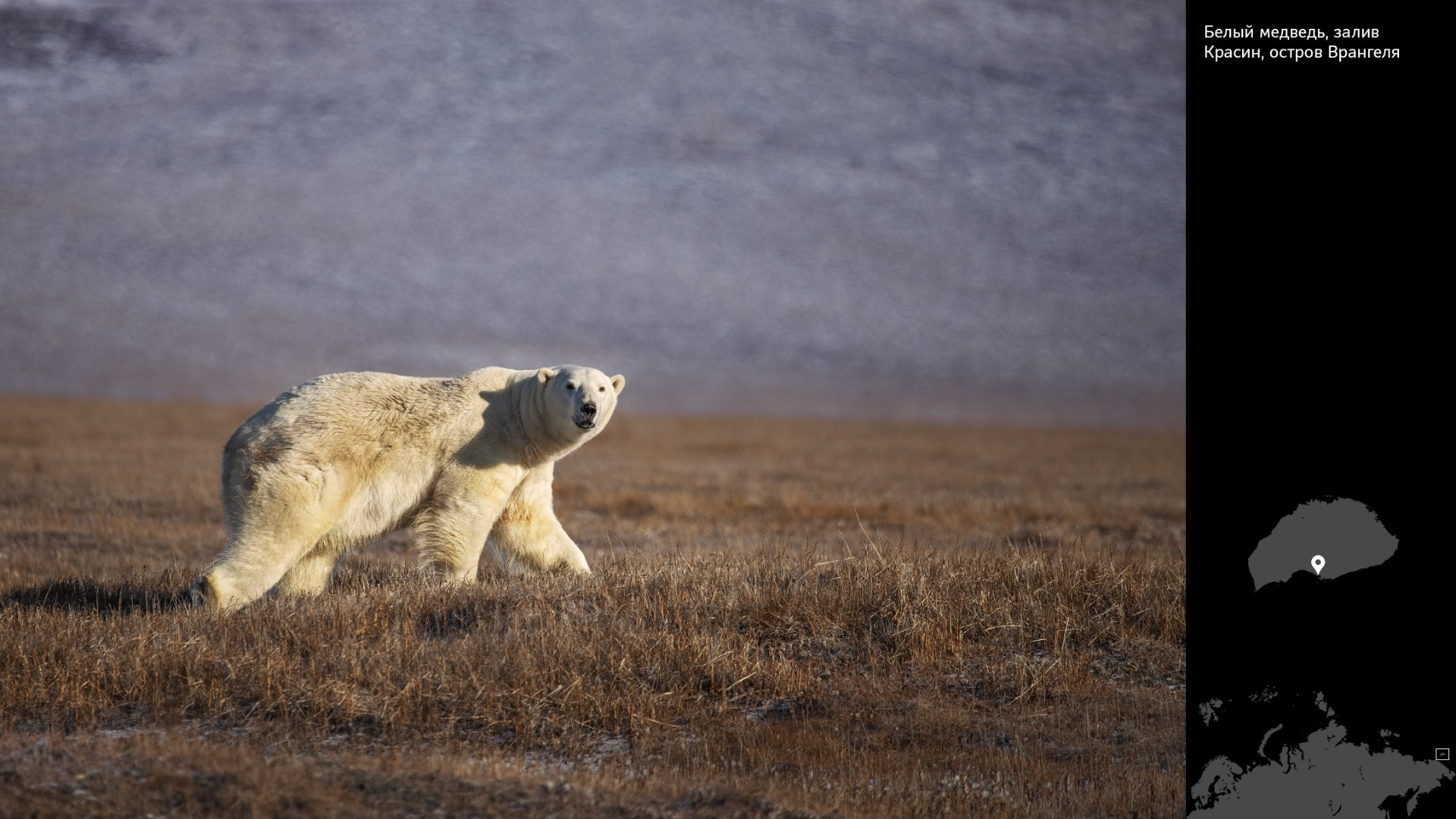 Проект «Архипелаги высоких широт». Петр Ушанов — фотограф