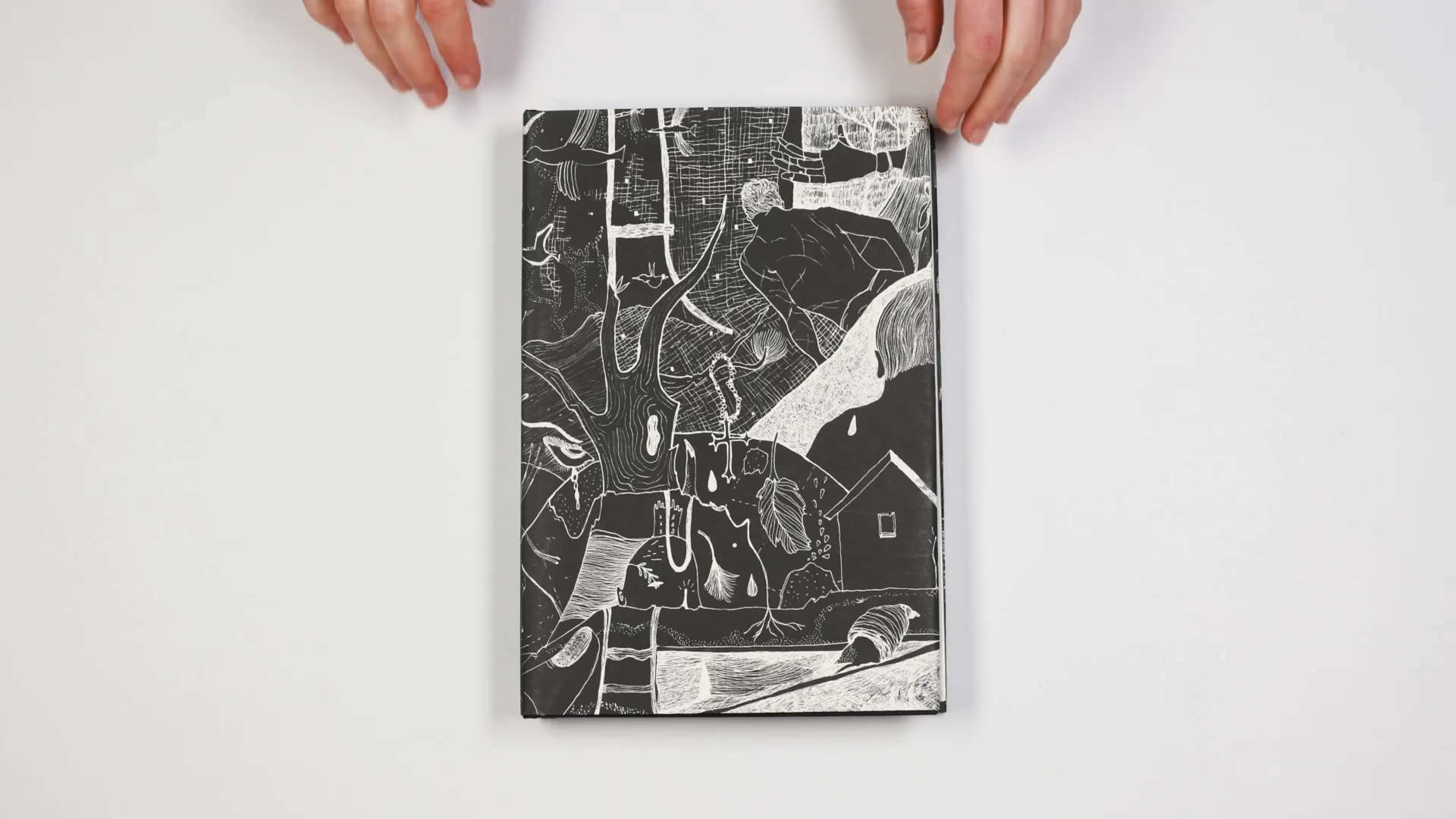 «Nòstos» Андреа Агостини. Private image