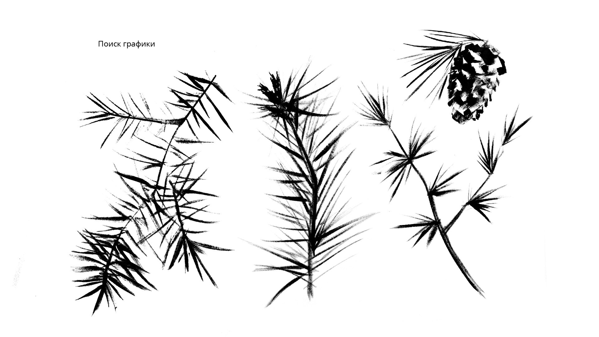 Серия этикеток “Таёжный вкус”