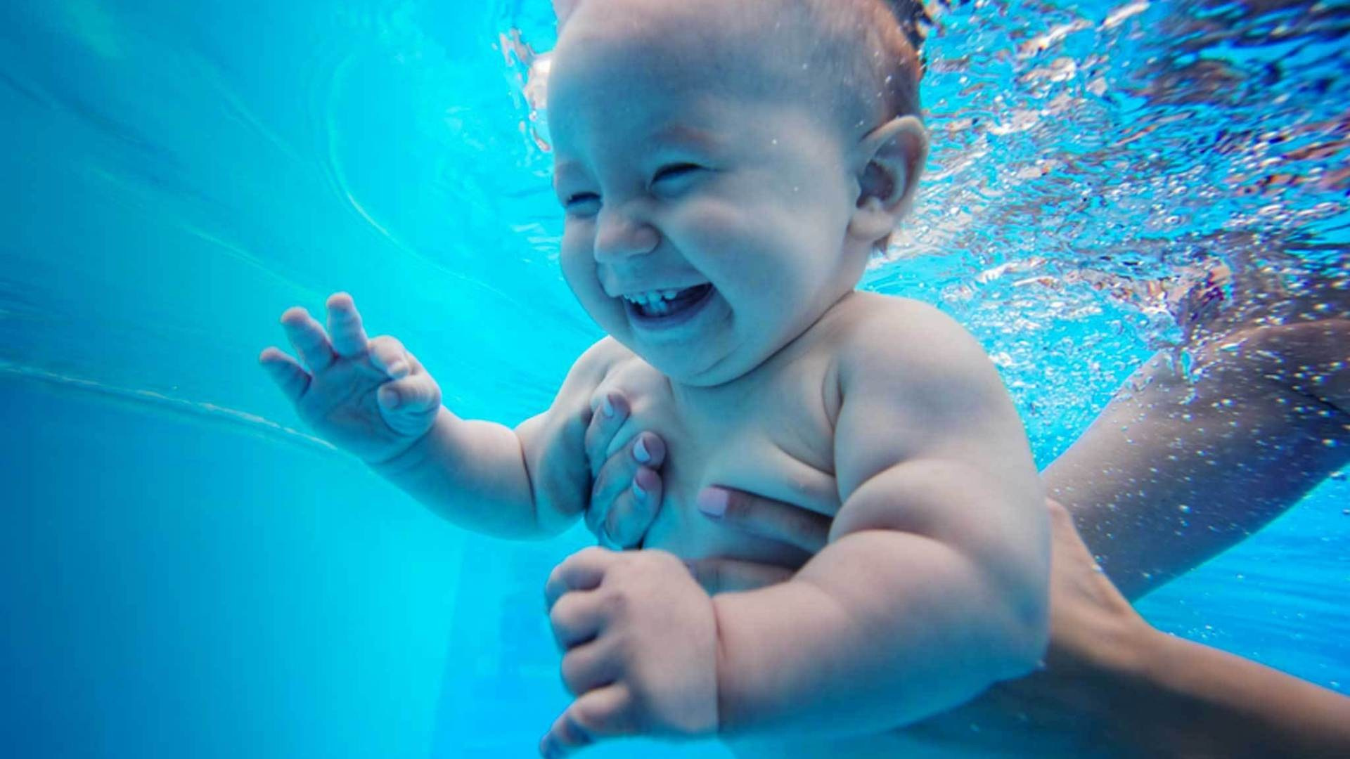 Детская школа плавания «Академия Старта» ASswim.ru в бассейне «Авшар-Клаб». ASswim.ru «Академия Старта» Детская школа плавания в Красногорске