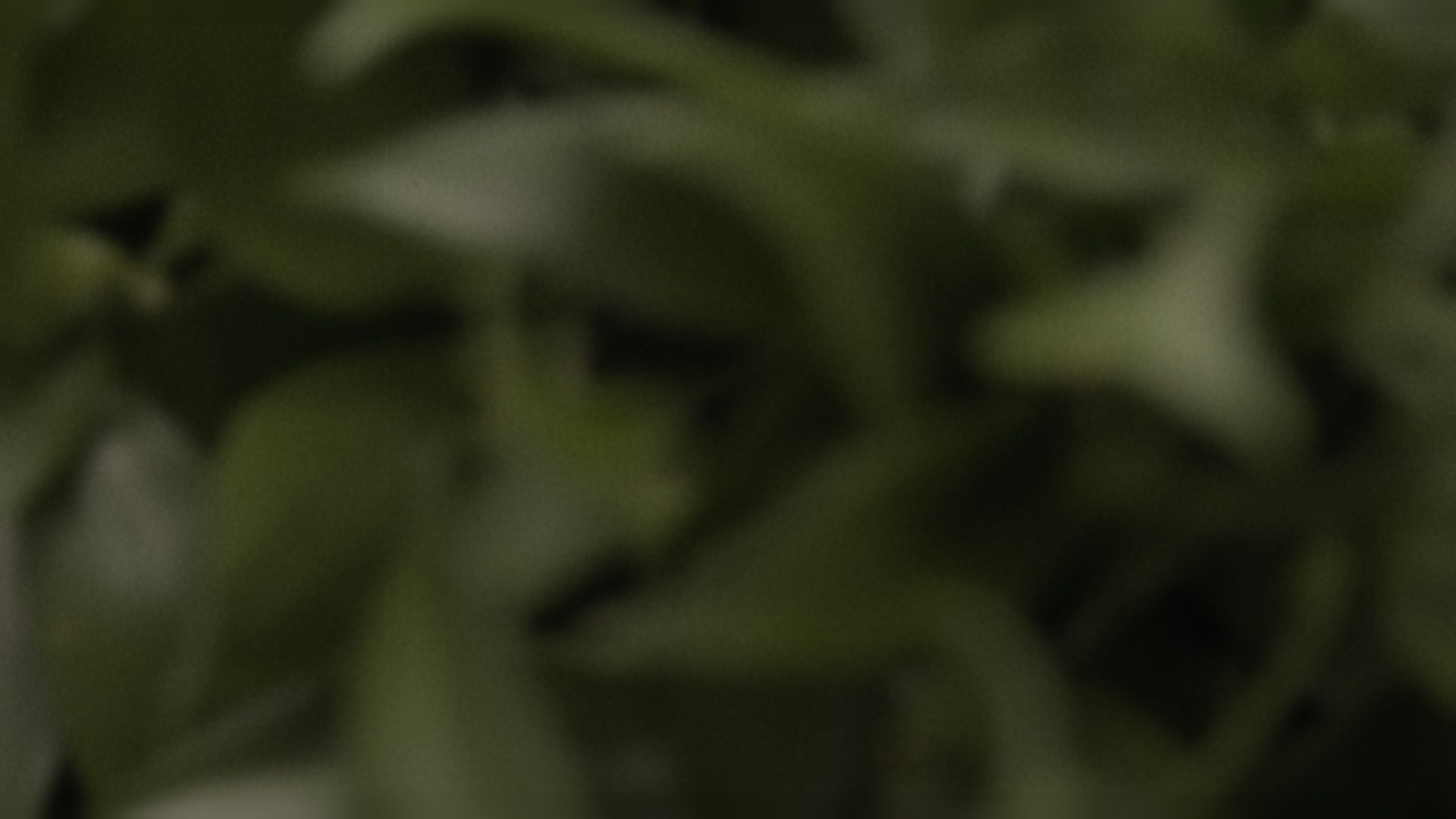 Motion. Viktoria Boyarina — Product & Beauty Filmmaker | Product Video