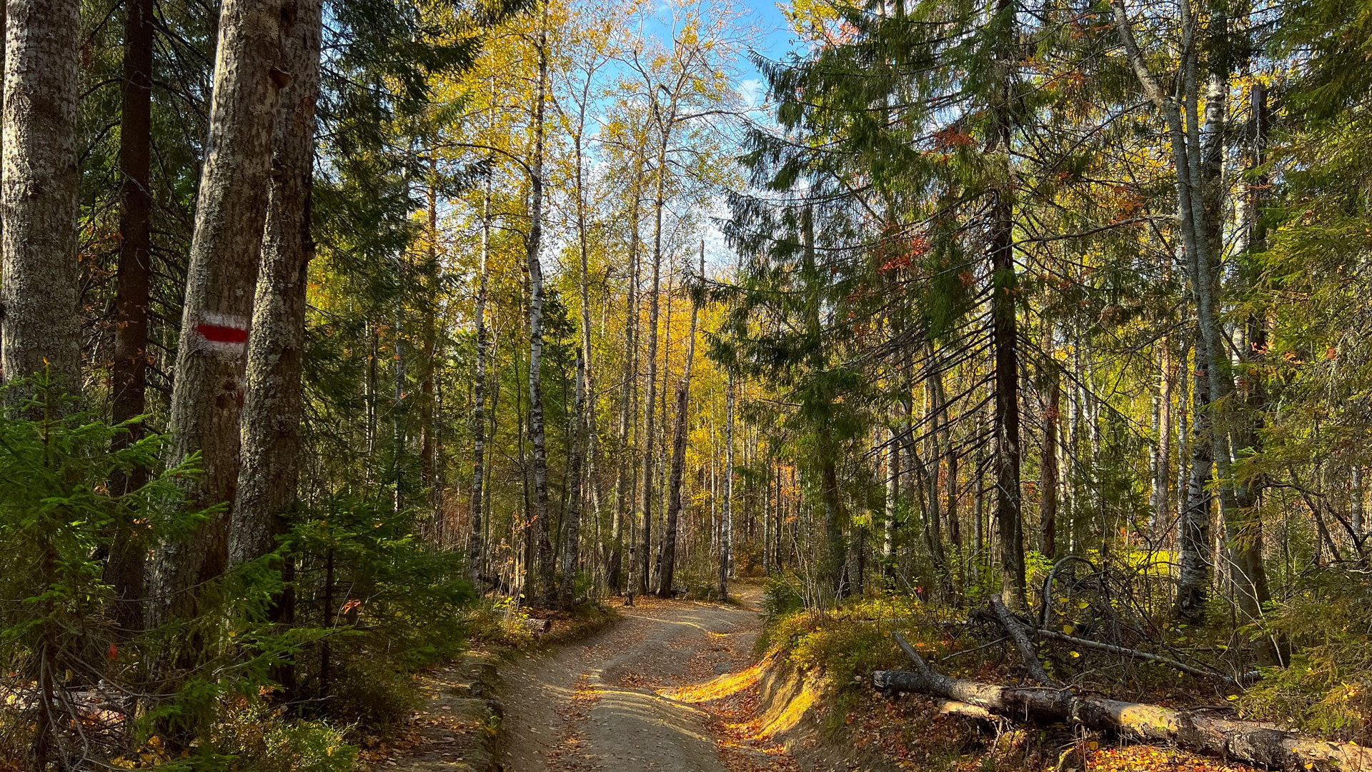 Бесплатный путеводитель по Пермскому краю. Путеводители по Пермскому краю для самостоятельных путешествий