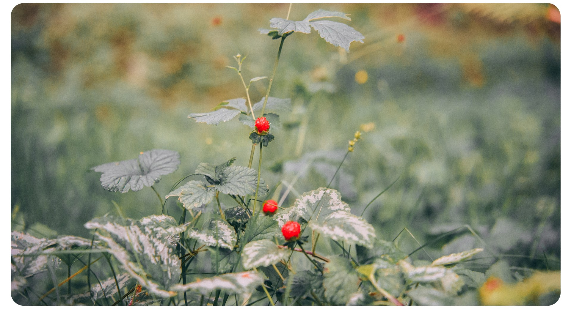 Калининград 3. Фотограф из Москвы — DASHA NOVA | Авторская фотография в разных жанрах
