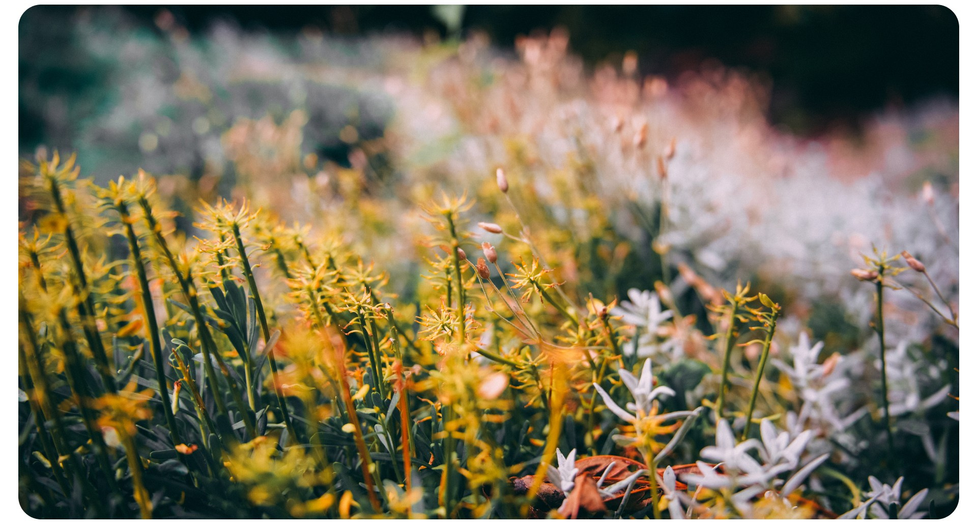 Калининград 3. Фотограф из Москвы — DASHA NOVA | Авторская фотография в разных жанрах