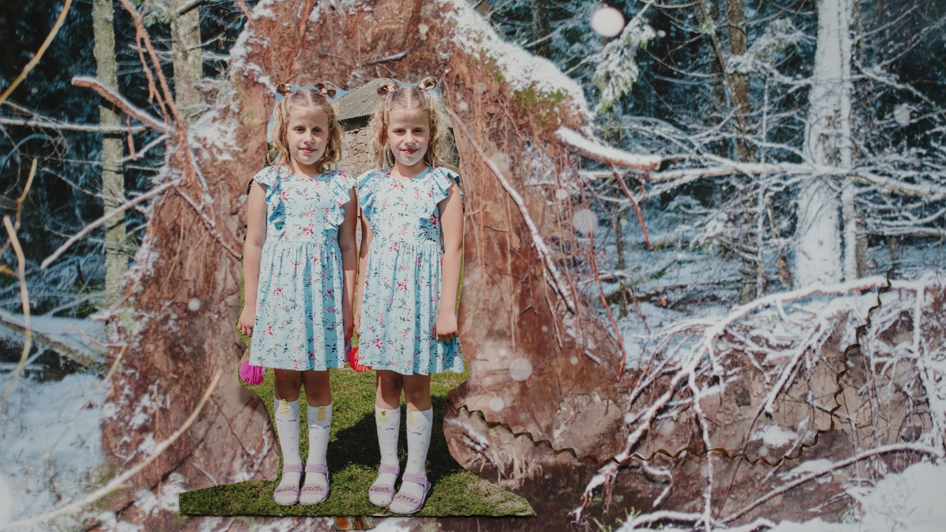 Photographer, Documentary and Art