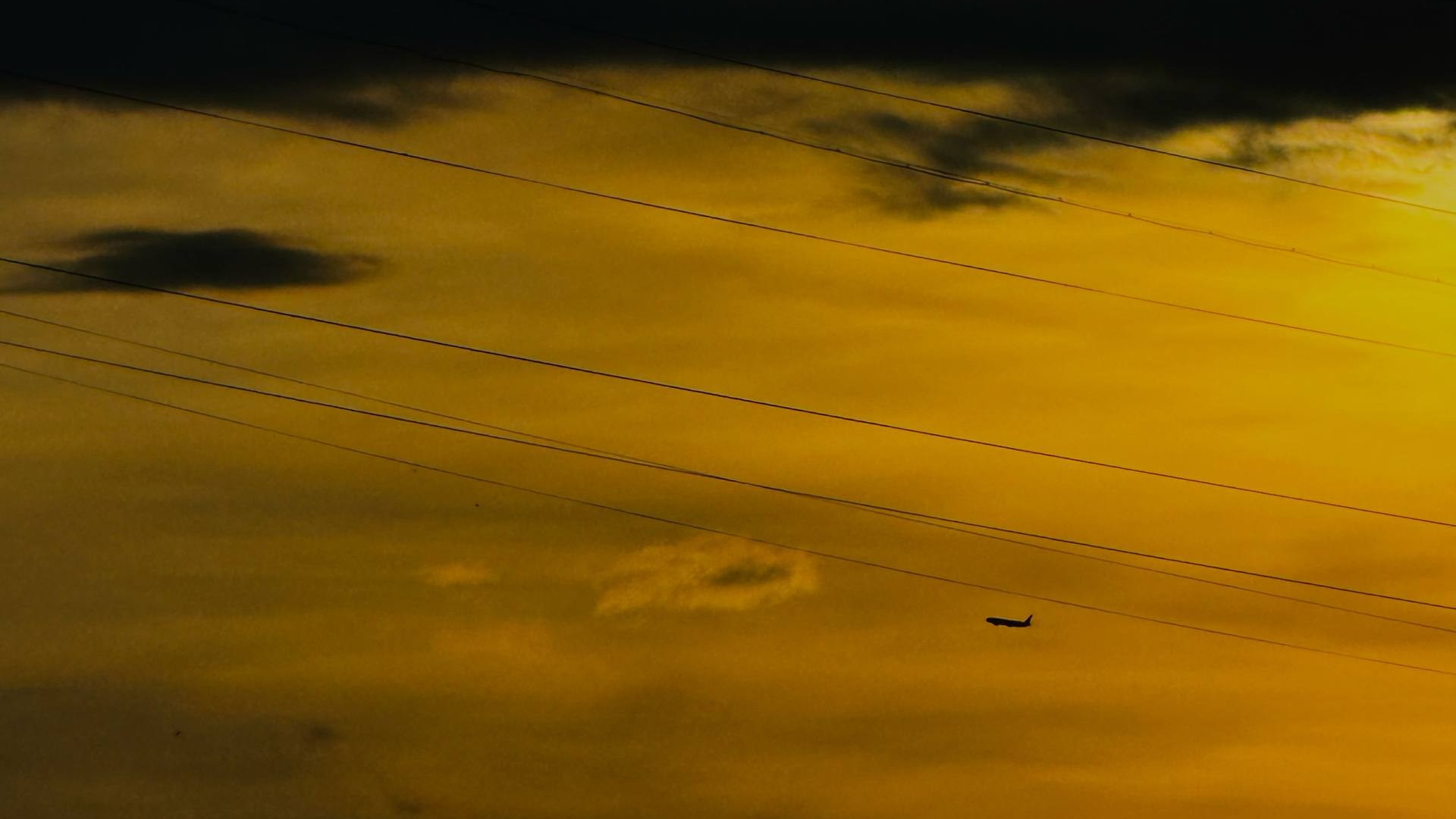 Главная. Снимаю по любви в Москве
