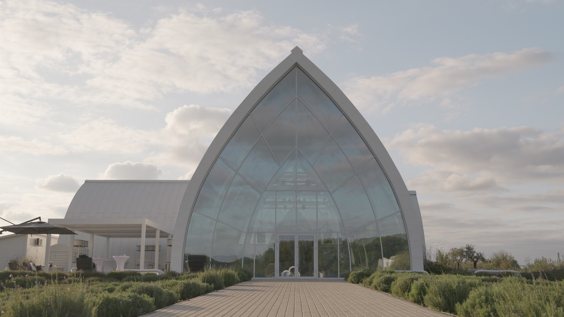 Услуги. ALENA SHEMBERG