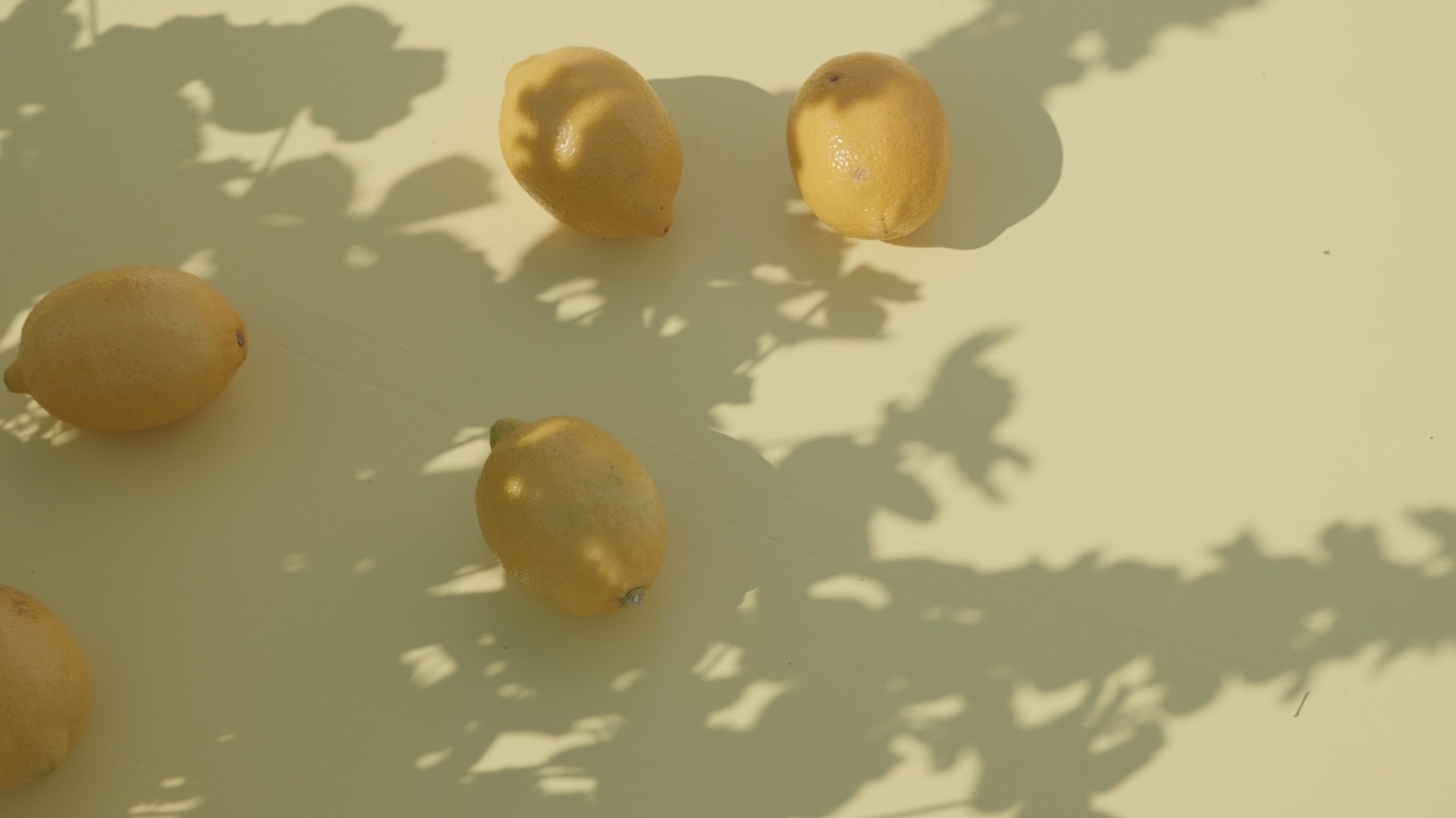 Услуги. ALENA SHEMBERG