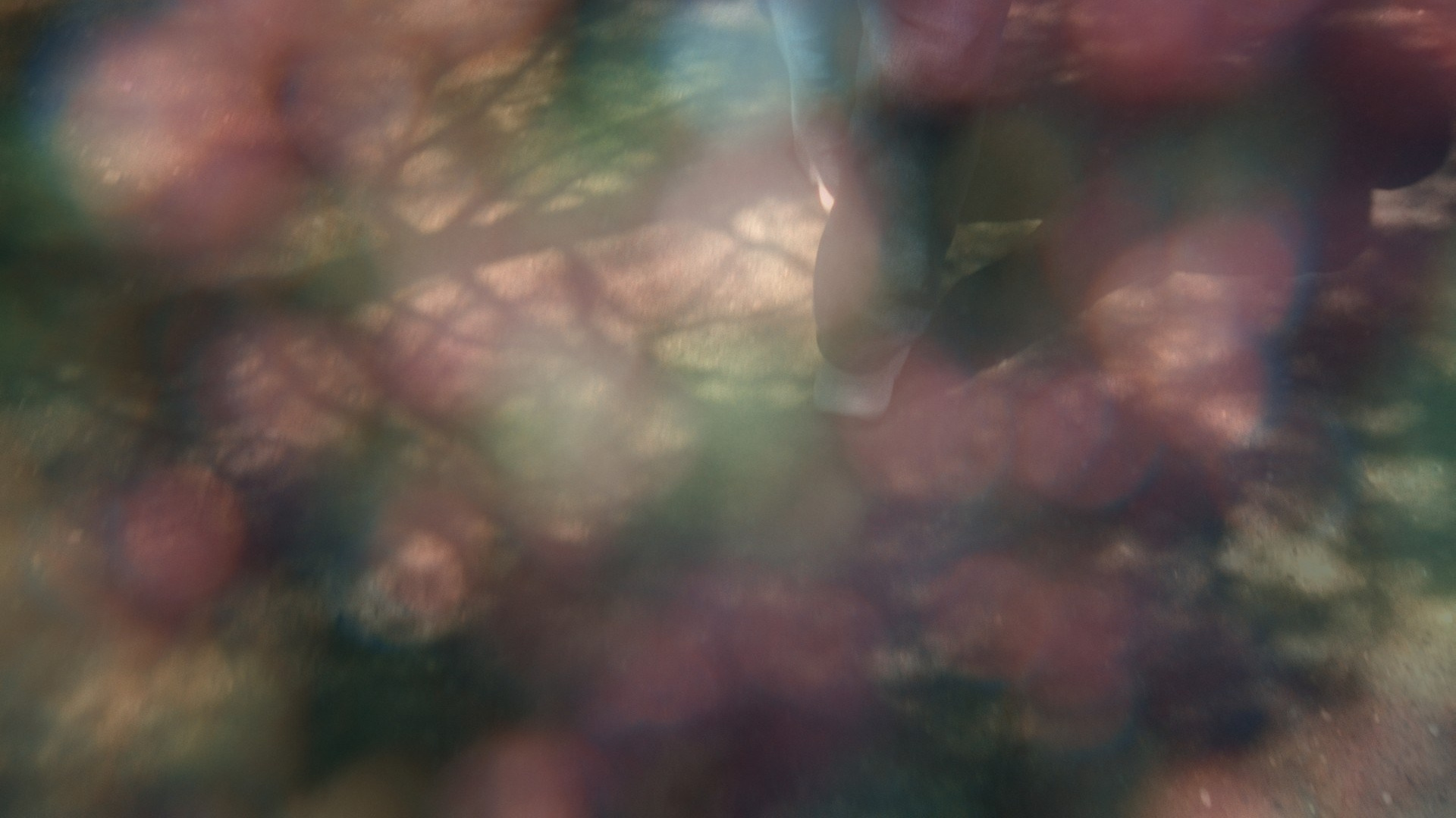 Anna Konushkina — visual artist