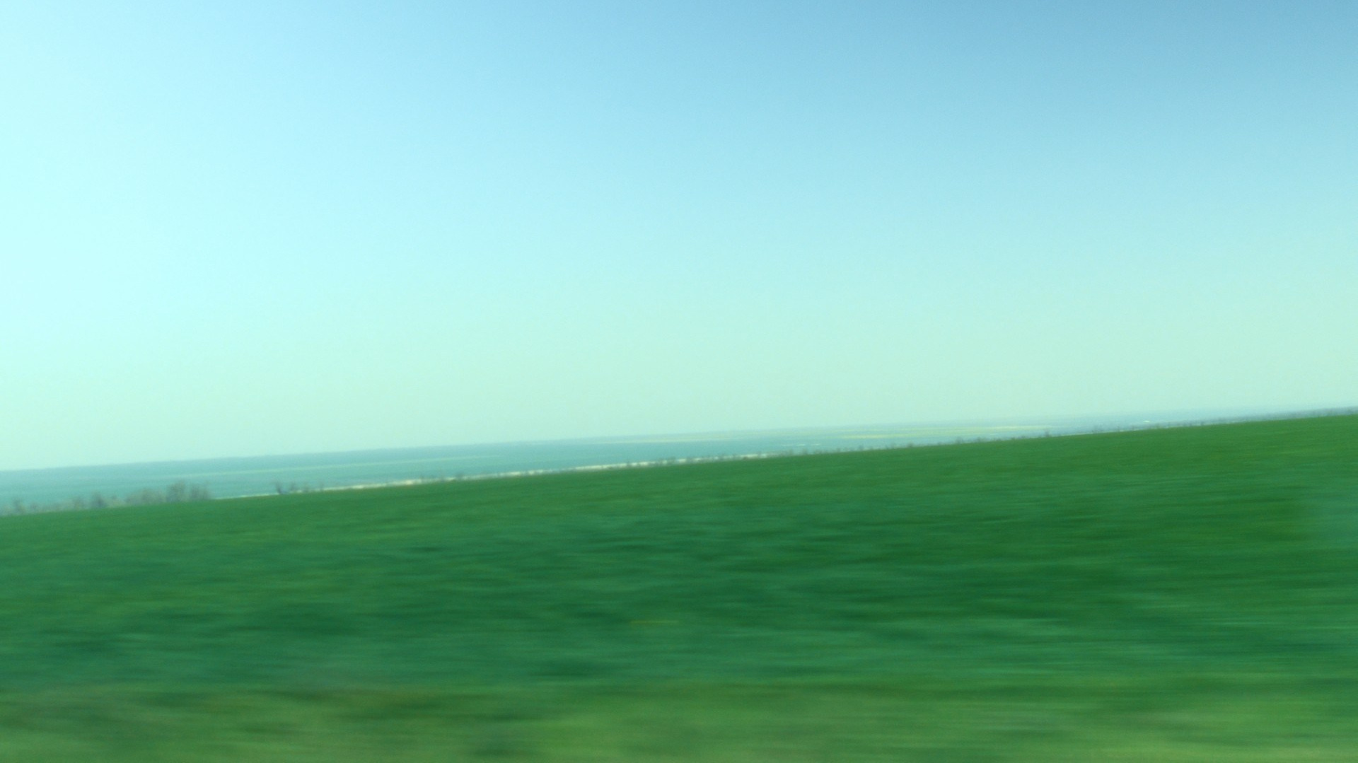 Anna Konushkina — visual artist