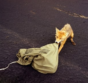 ВАДИМ ГИППЕНРЕЙТЕР — ВЕЛИКИЙ ФОТОГРАФ ЗЕМЛИ РУССКОЙ