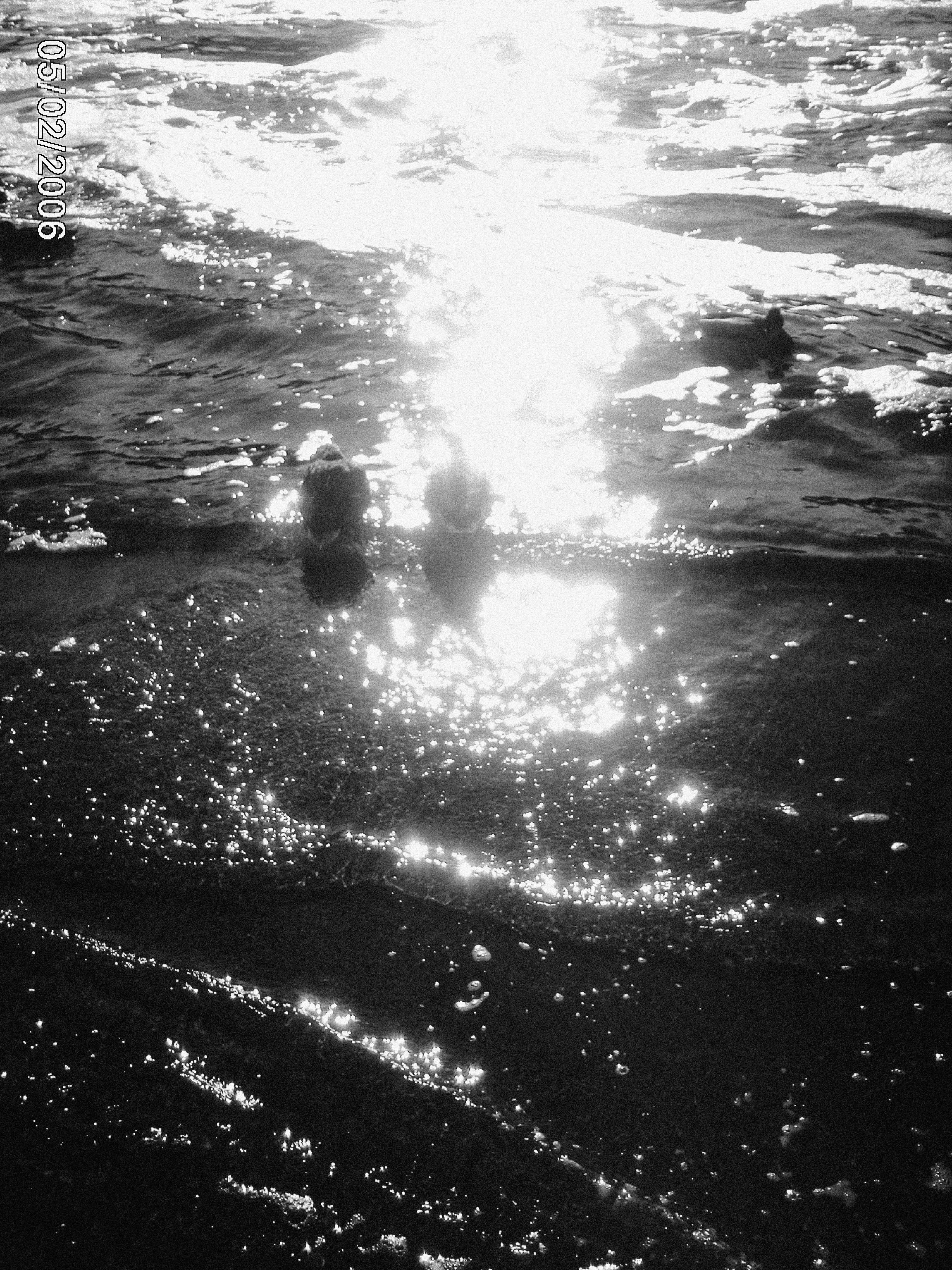 Моя весна, снятая на мыльницу из нулевых. Фотограф и видеограф Анастасия Витюкова | Екатеринбург