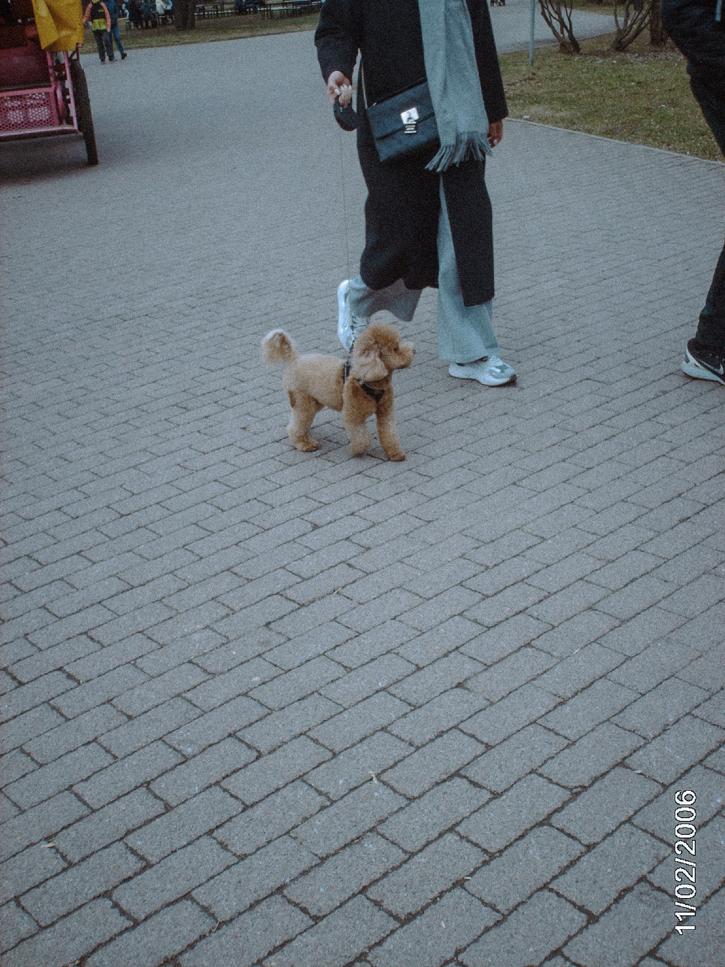 Моя весна, снятая на мыльницу из нулевых. Фотограф и видеограф Анастасия Витюкова | Екатеринбург