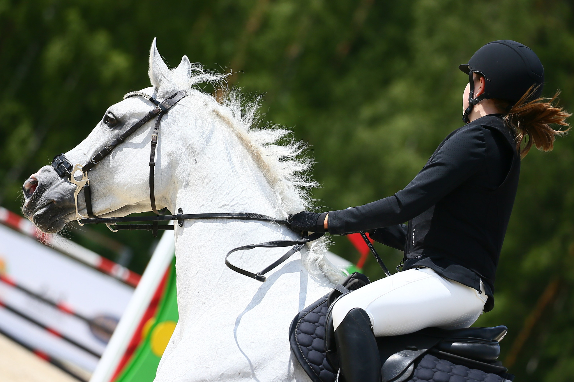 Купить фотографии с турниров. KatymartArt — Equine photography