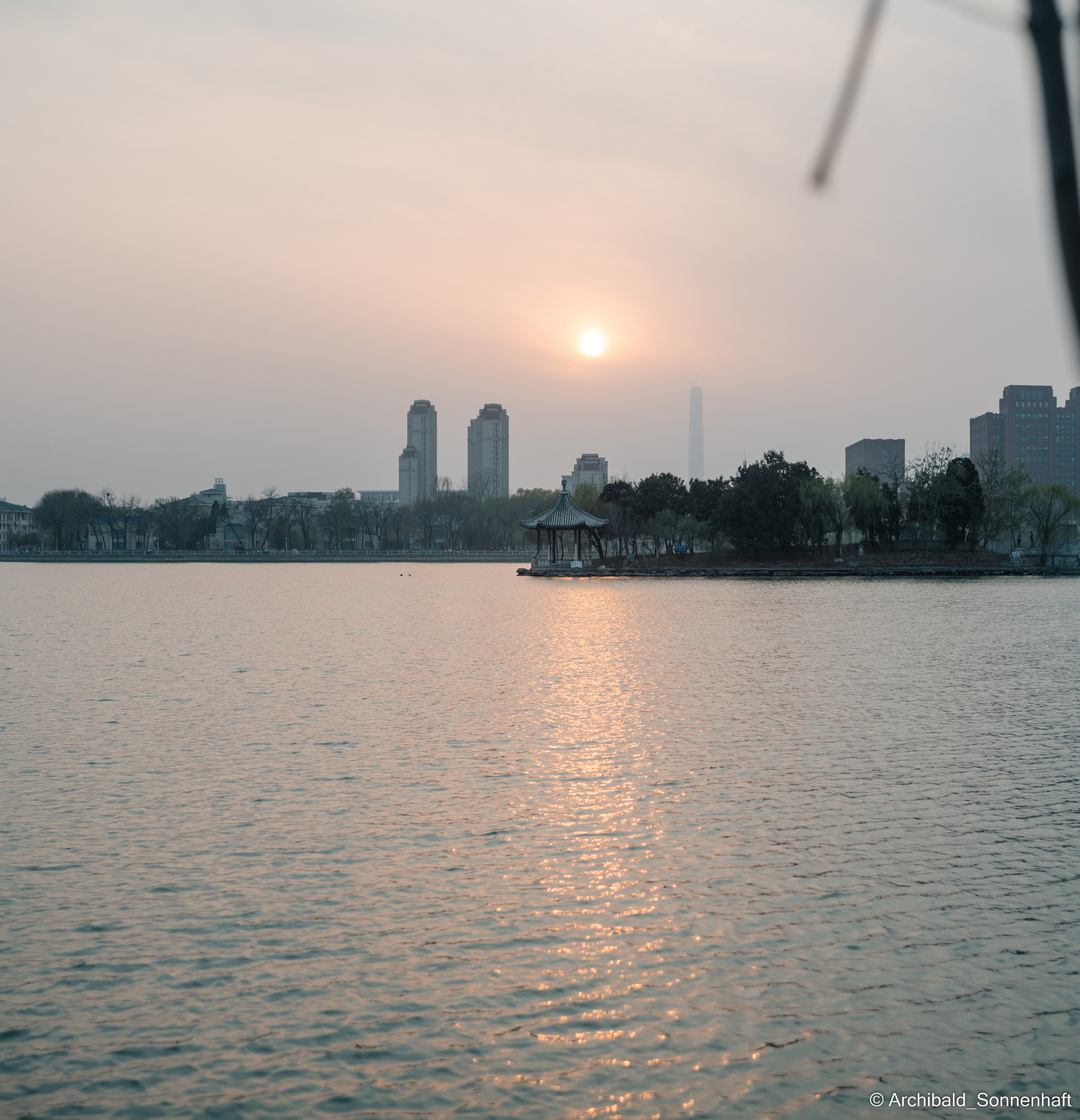 Park, tea and cats. Photographer in Guangzhou, China. Archibald Sonnenhaft