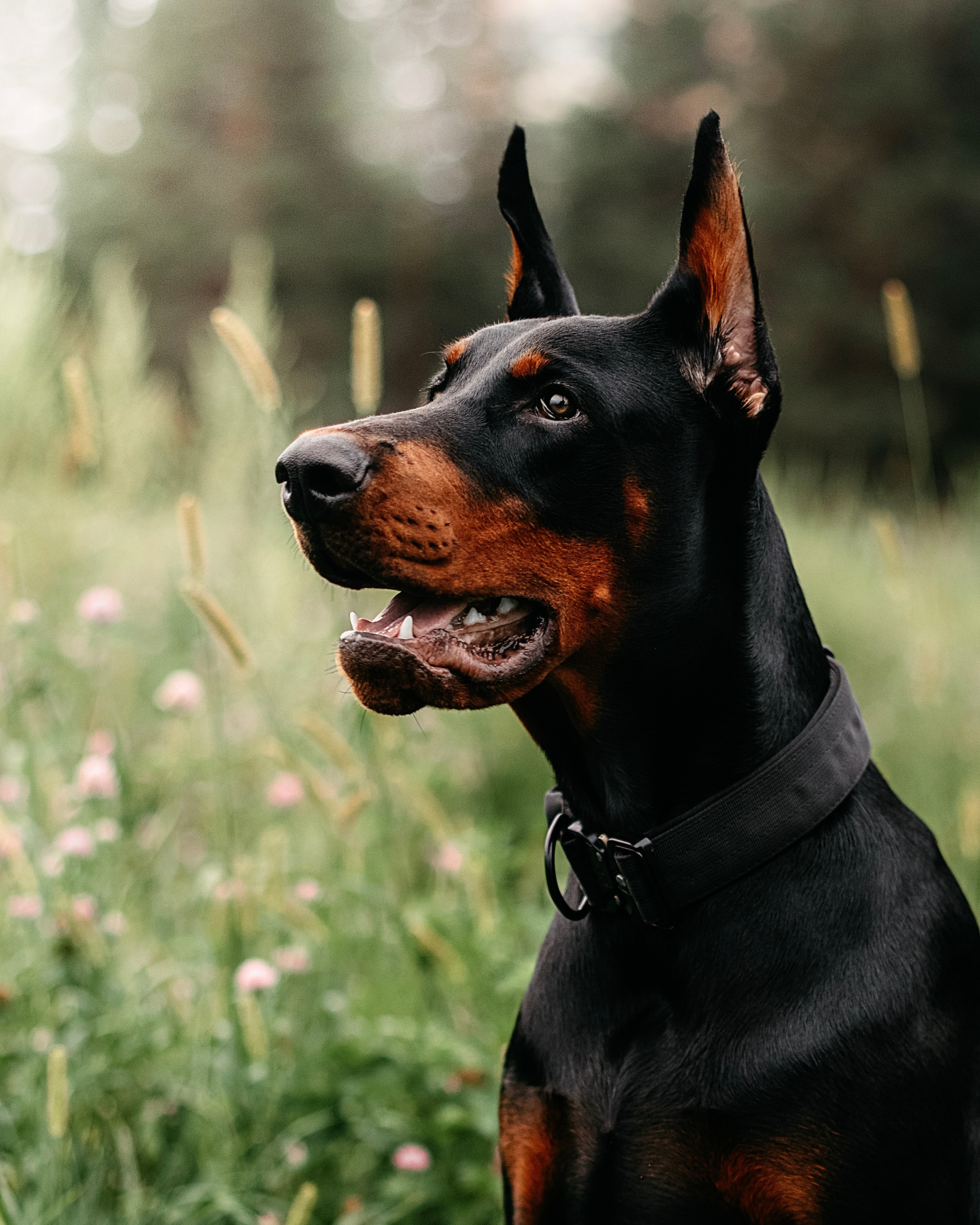Фотограф в Арсеньеве