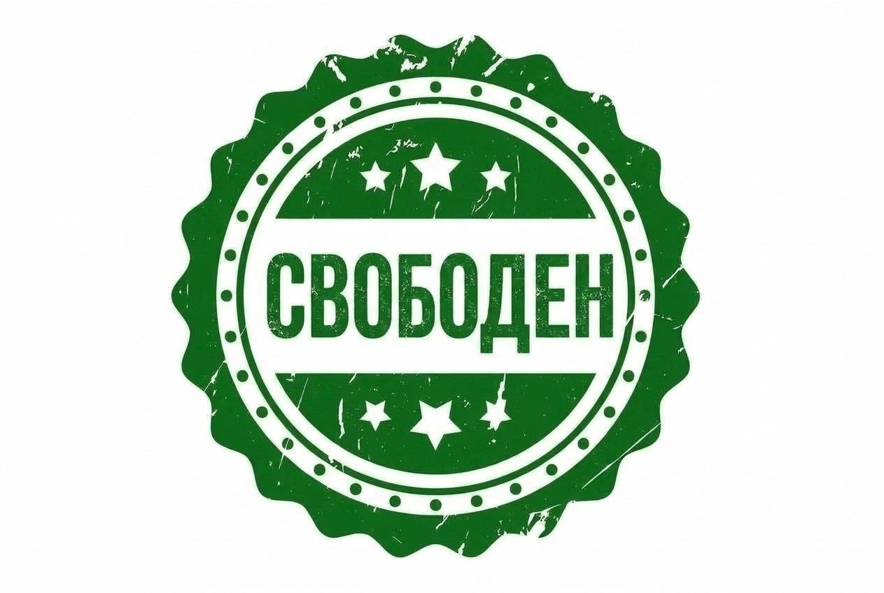 Щенки Американский булли. ПИТОМНИК СОБАК ПОРОДЫ АМЕРИКАНСКИЙ БУЛЛИ