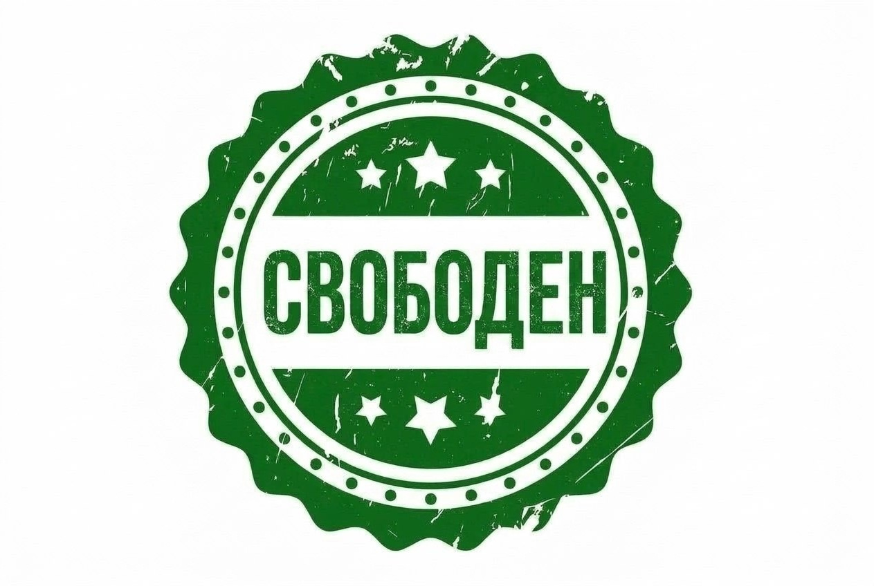 Щенки Американский булли. ПИТОМНИК СОБАК ПОРОДЫ АМЕРИКАНСКИЙ БУЛЛИ
