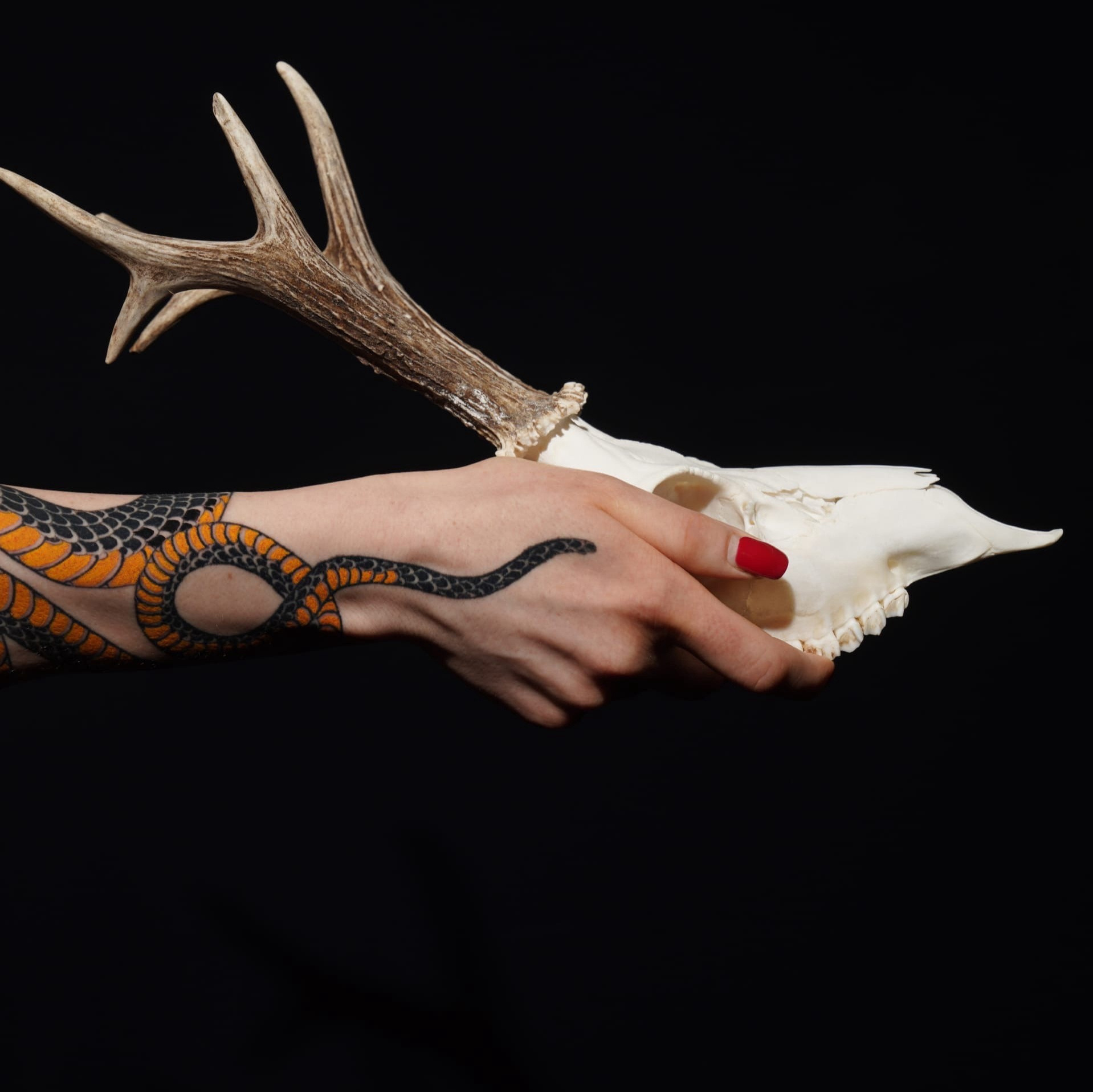 История искусства японской татуировки