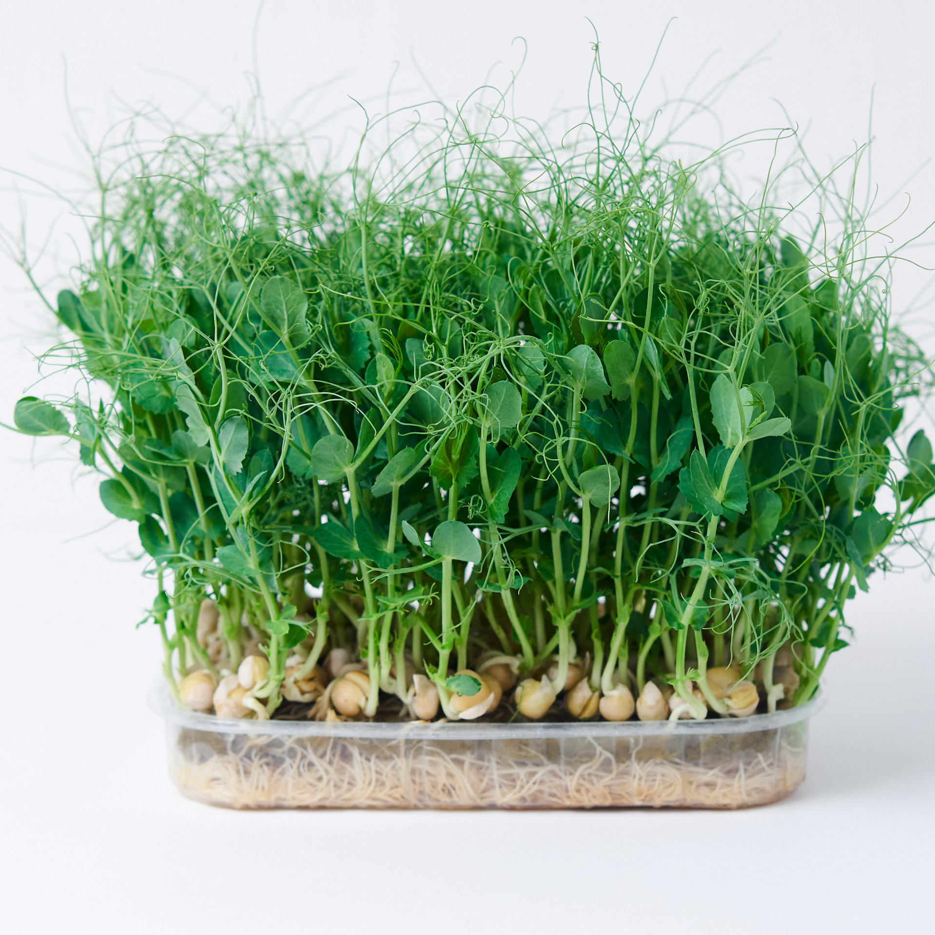 Услуги фотографа в Ульяновске. Фотограф в Ульяновске Ирина Аверьянова