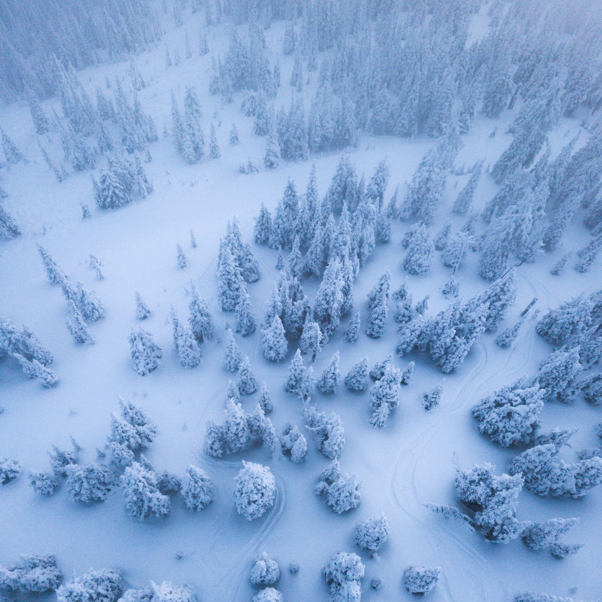 ОБО МНЕ. Семейный и детский фотограф Алена Печерица в Тамбове