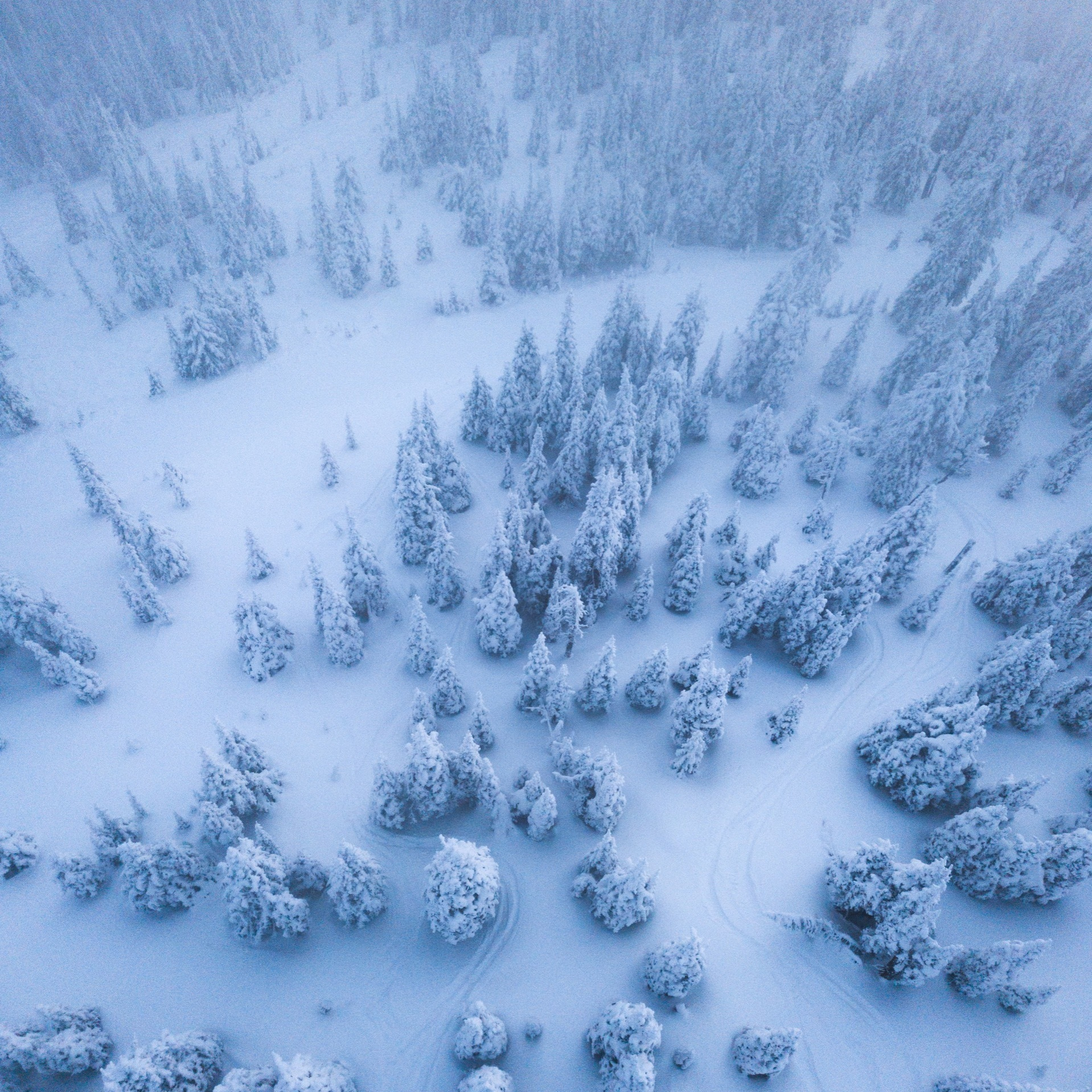 Расписание. Центр развития My Way / Майвэй в Гатчине: модельная школа, английский