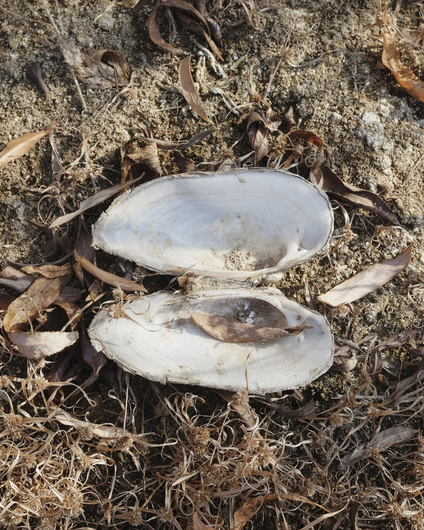 Работы студентов. Private image