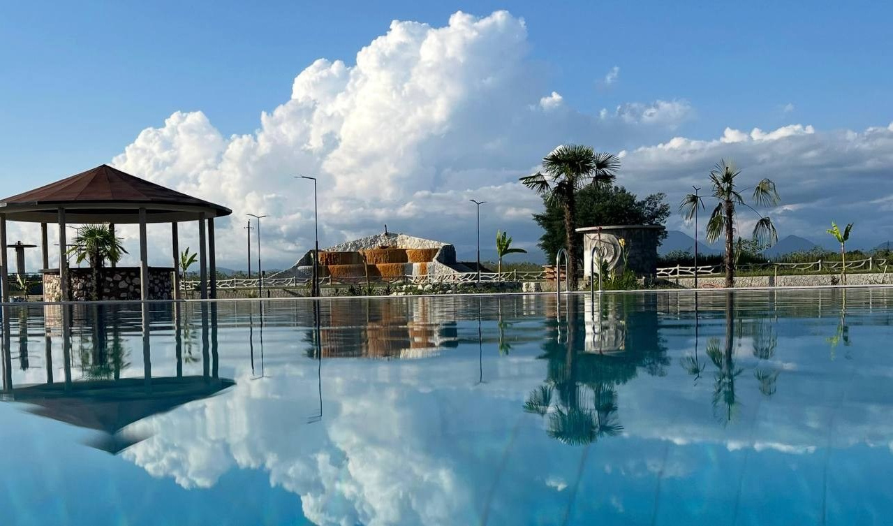 Абхазия. Мимоза. Ольга Котова