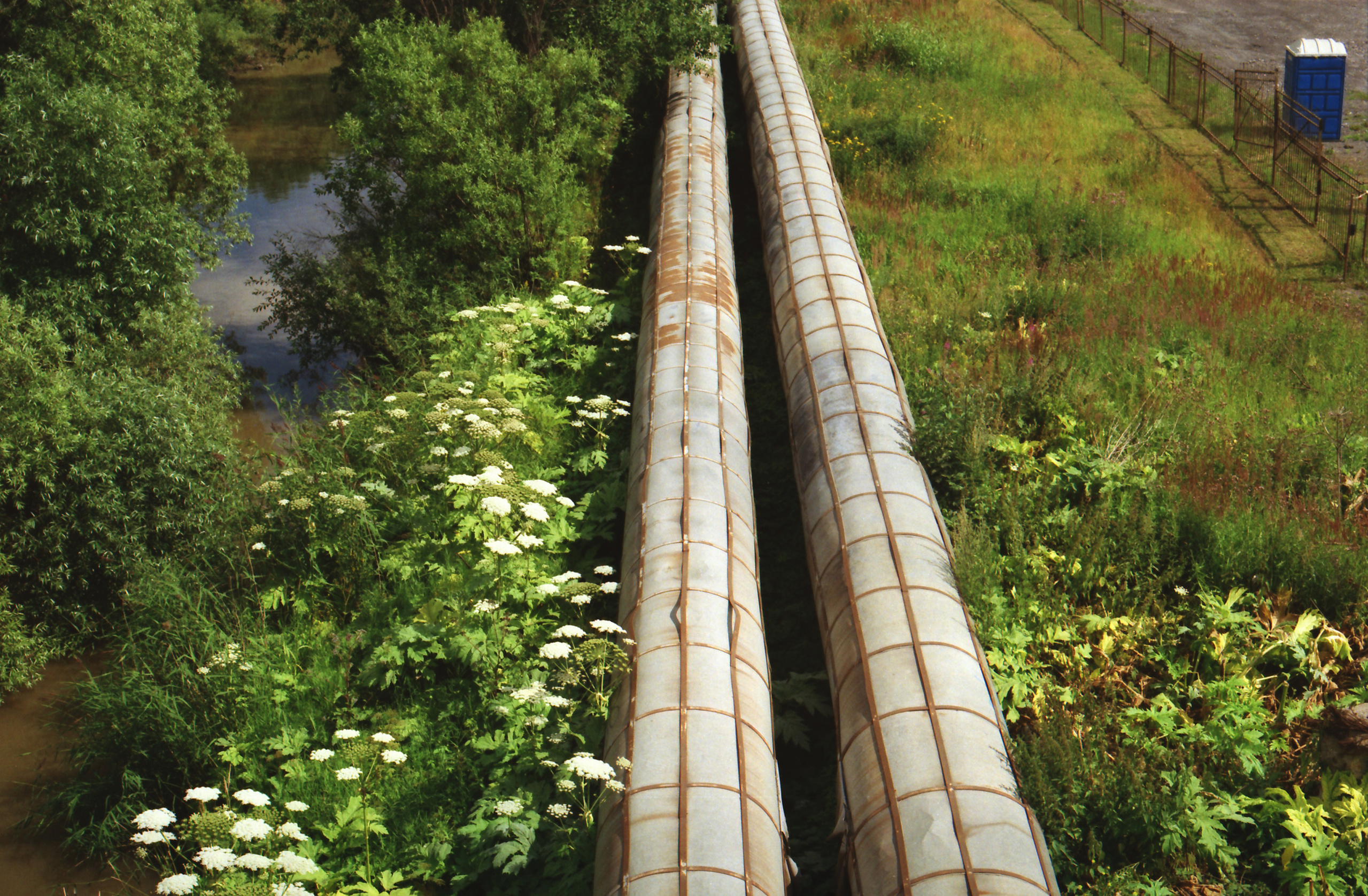 Красненькая биеннале 2023 (СПБ)