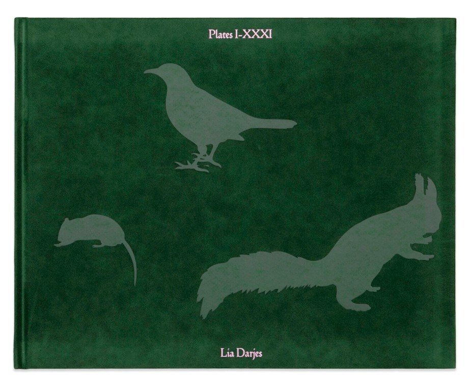 ОБЗОР АКТУАЛЬНЫХ ФОТОКНИГ: Листы I–XXXI. Самоорганизация Низина