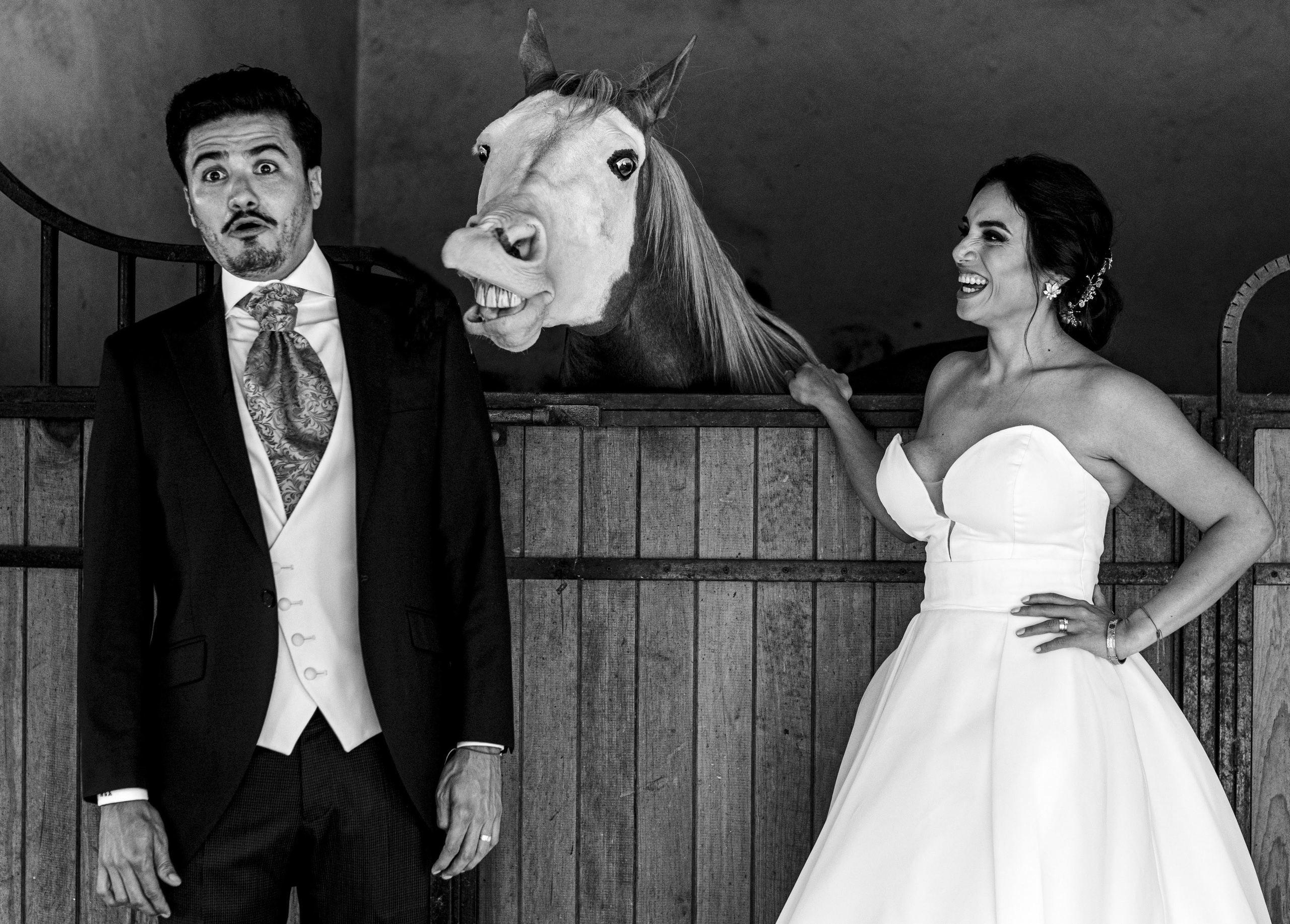 Portfolio Award 2024