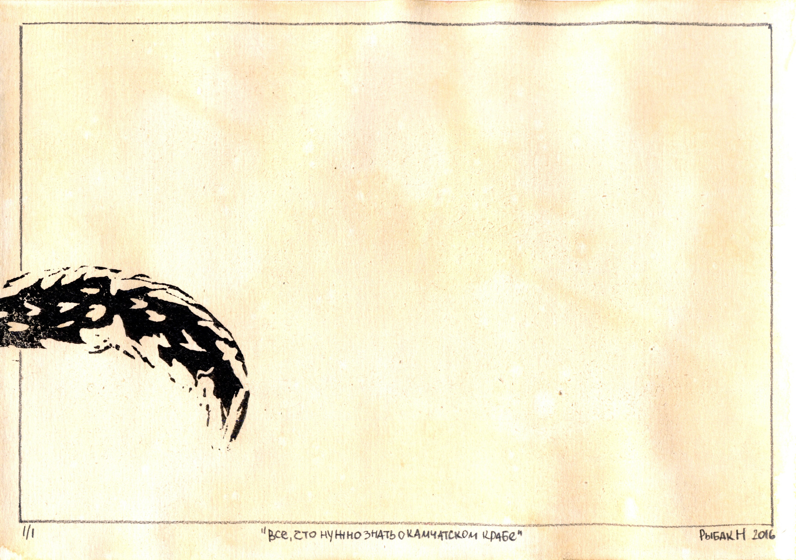 Серия Морские беспозвоночные. Художник Рыбак Николай