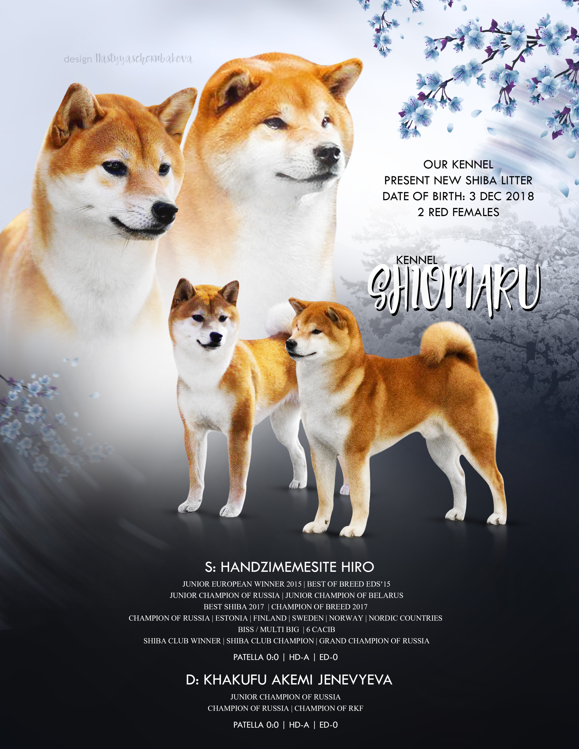 ПОМЕТЫ. SHIOMARU Питомник сиба и акита-ину