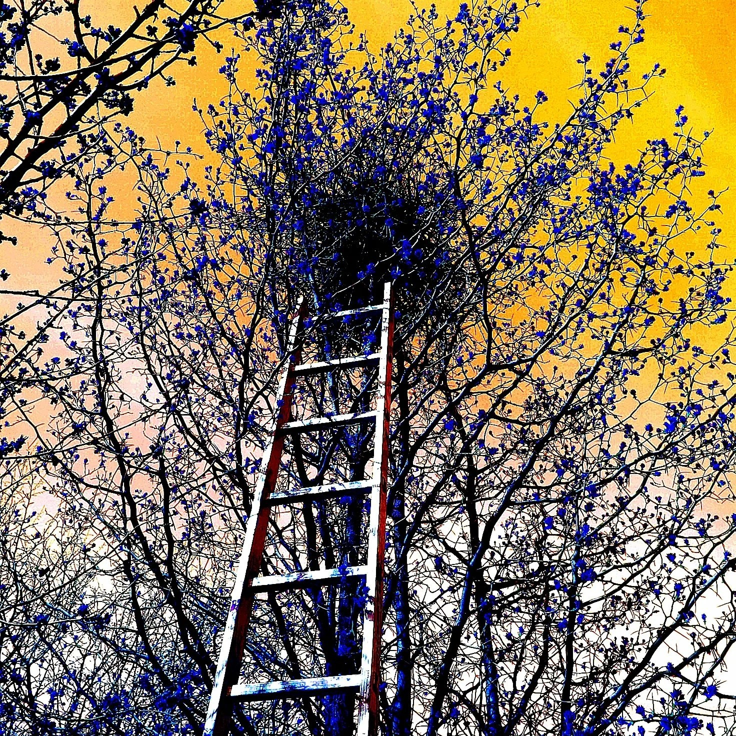 Орфелин Дмитрий. ARTEXPOPHOTO