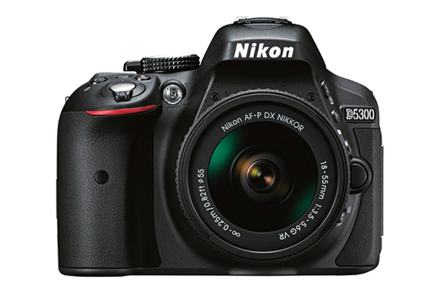 Зеркальные фотокамеры Nikon DX. Примеры RAW файлов