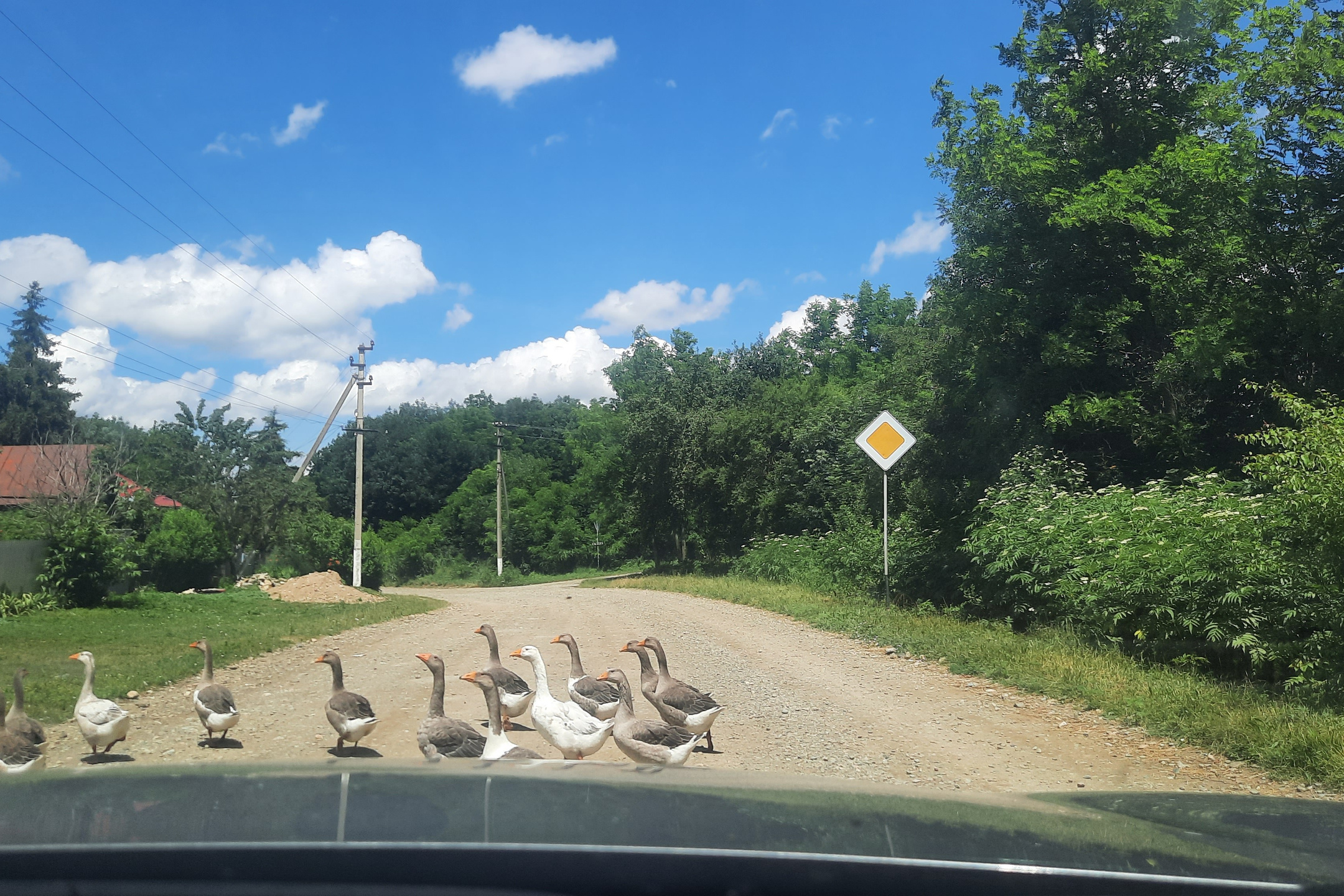 Горячий источник как доехать варианты