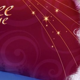 Новогоднее видеопоздравление. Фотограф Мальцева Евгения