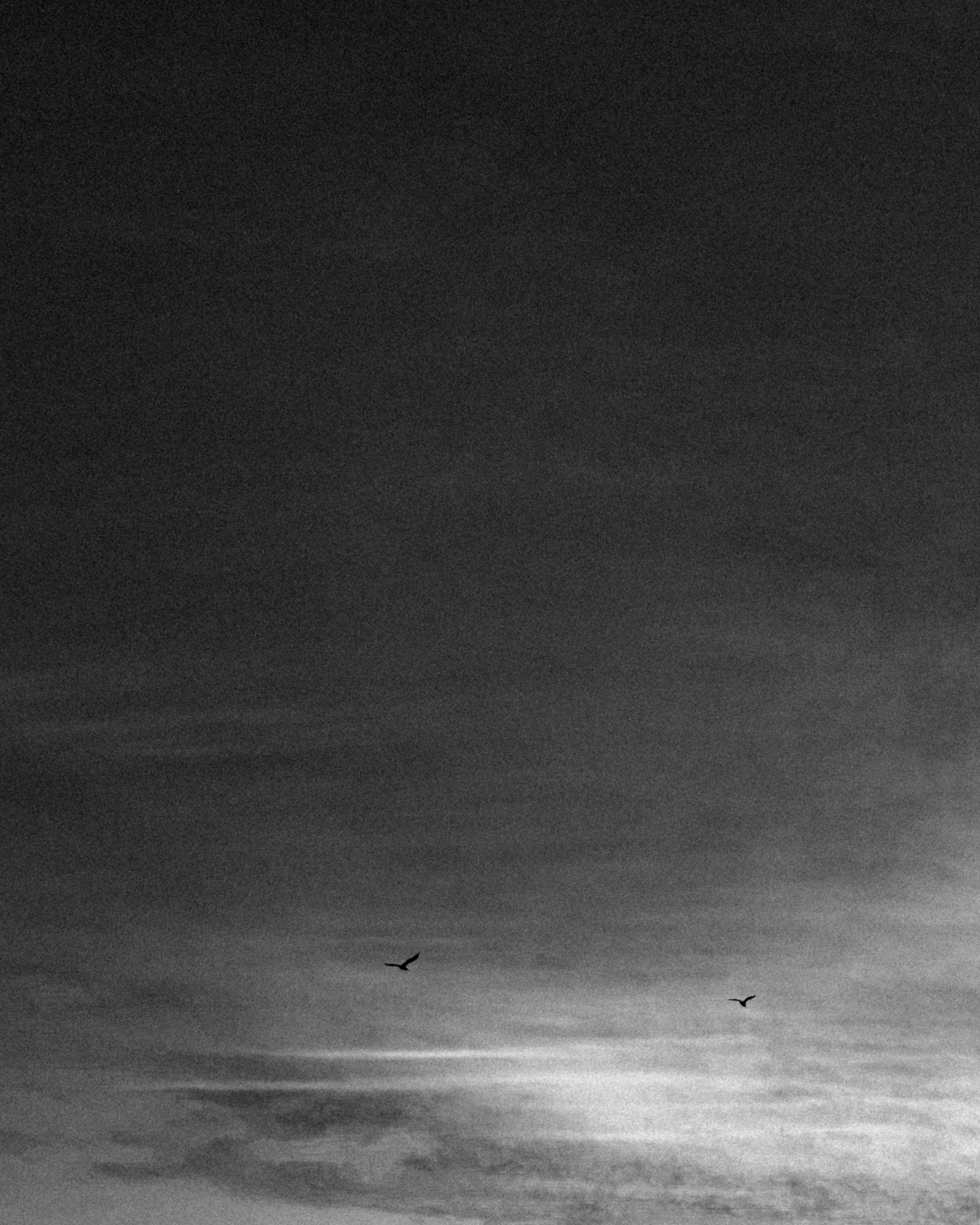 Whoisanyaa • фотограф Москва//Спб