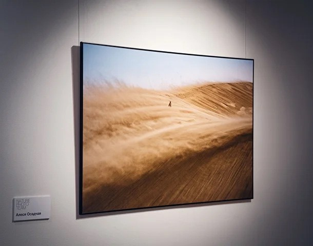 Выставка Nature Photo Team. Фотограф Константин Шамин