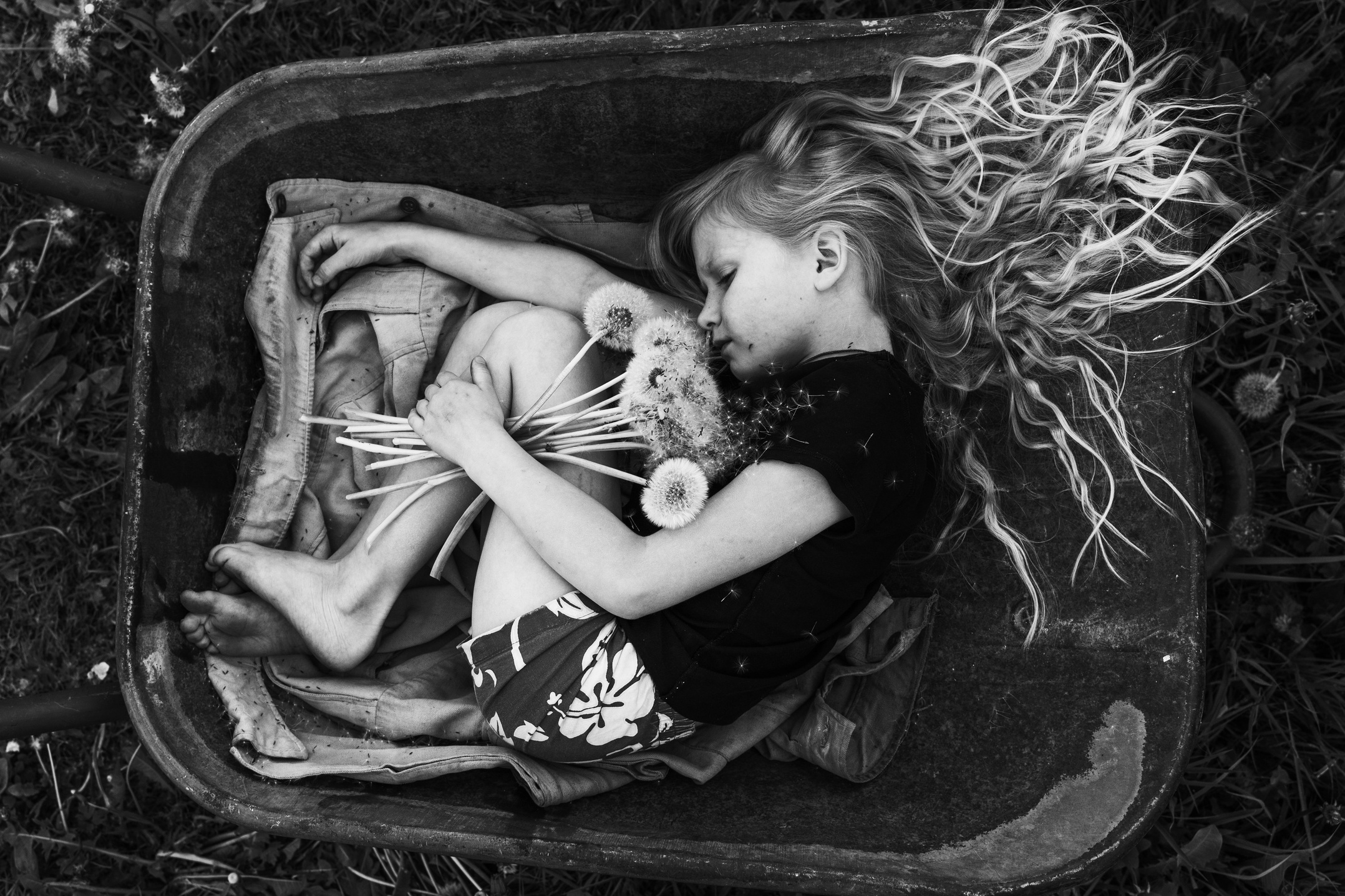 Голосование. Калужский городской фотоконкурс