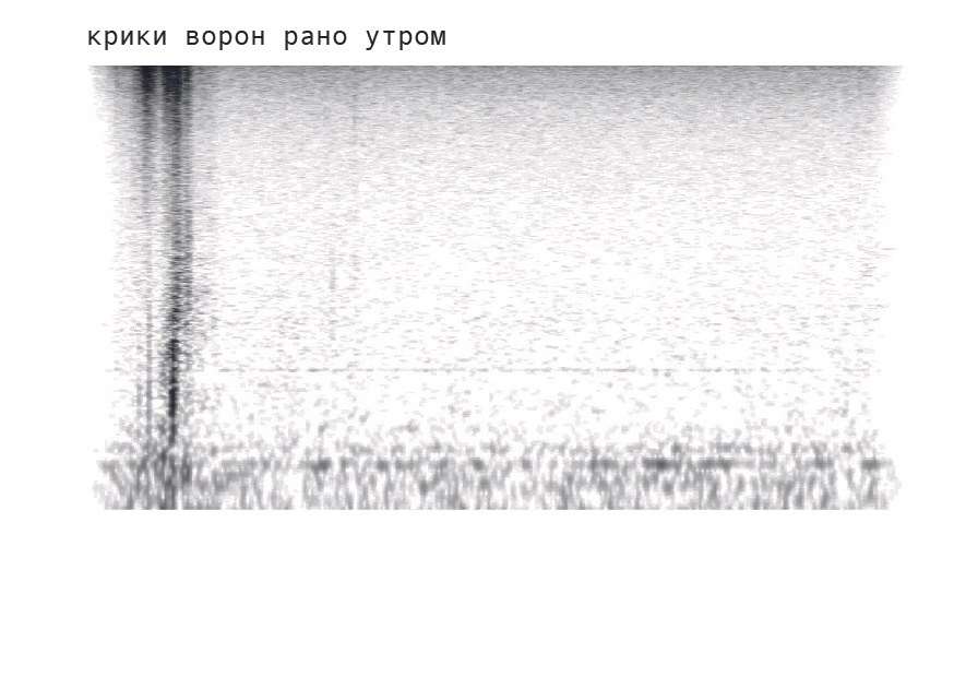 Мила Нишатова (с 19 января 26)
