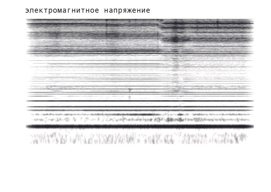 Мила Нишатова (с 19 января 26)