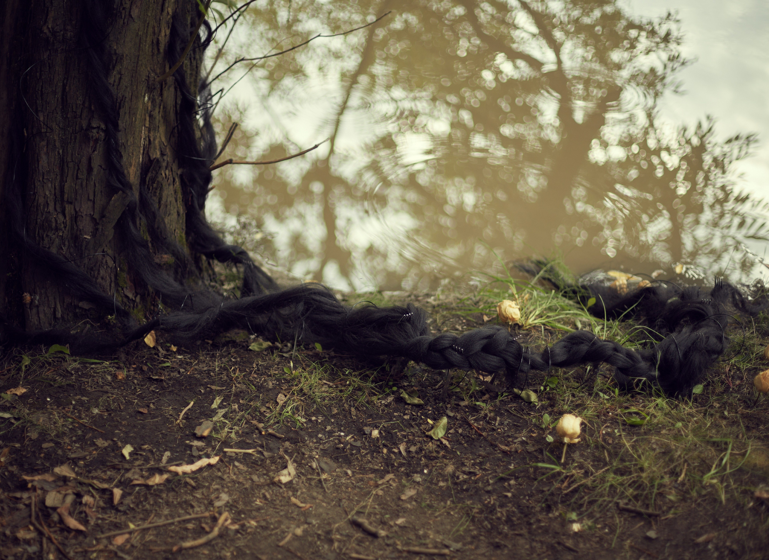 В одну реку дважды. Ирина Петрова. Современный художник