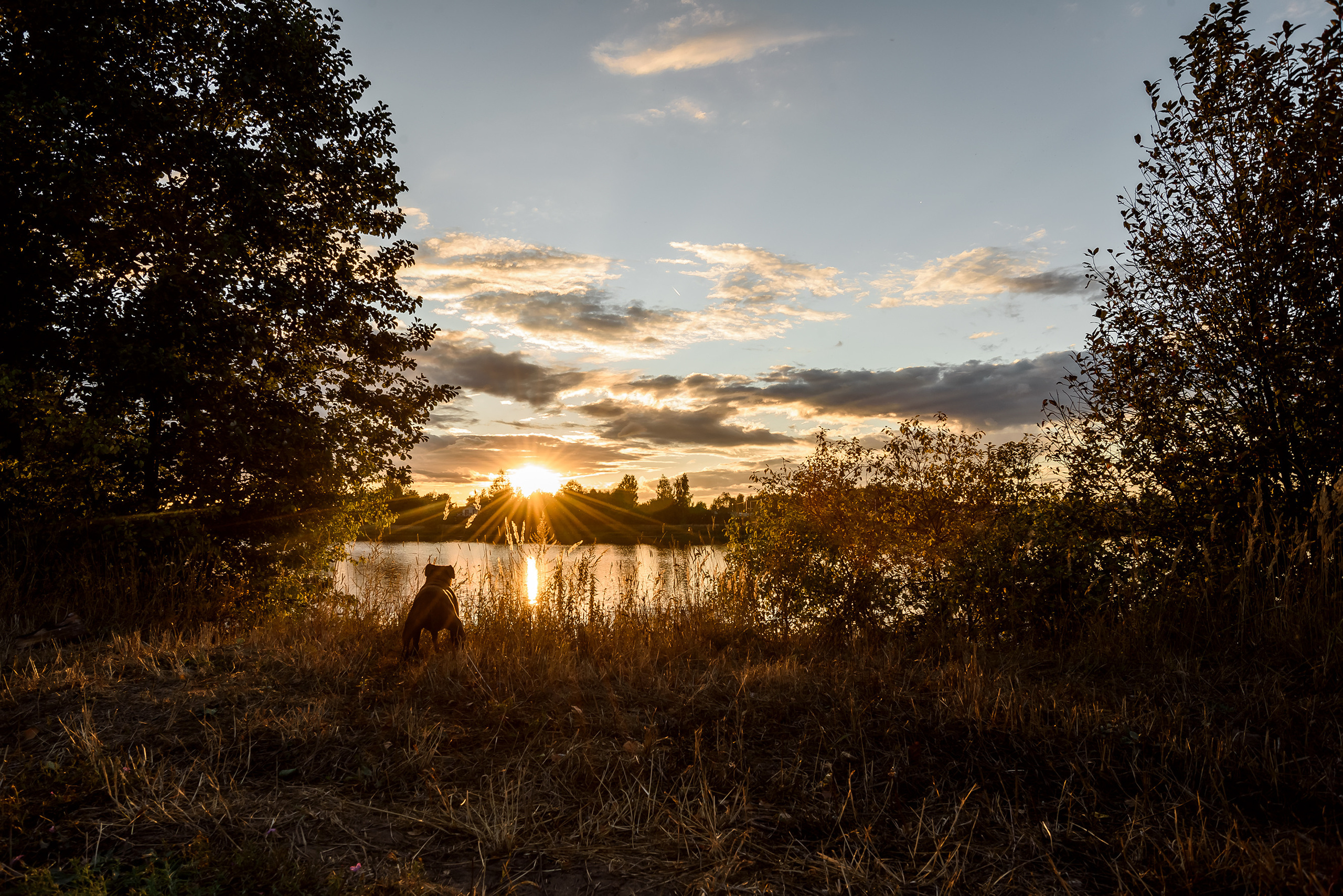 Услуги. Марина Суздаль семейный и детский фотограф в Москве и Подмосковье